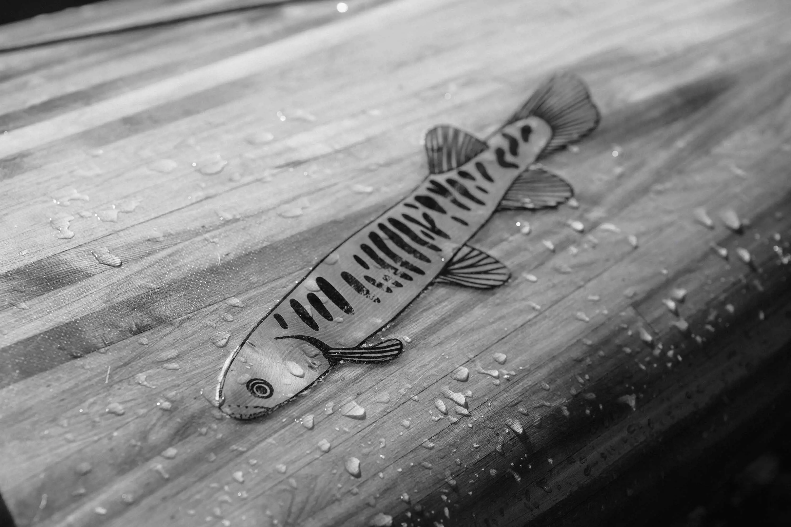 The hull of a wooden canoe is decorated with an image of a fresh-water trout inset into the wood.