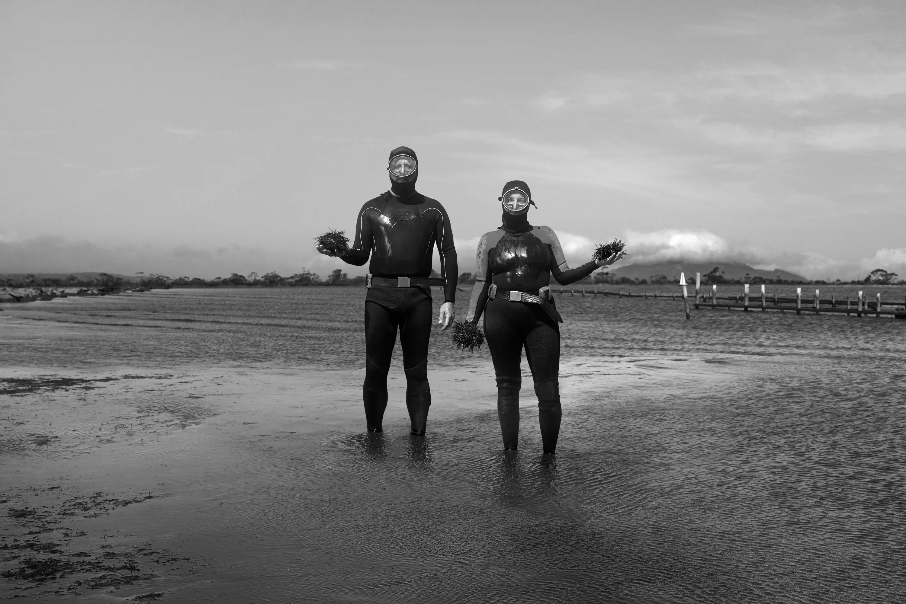 Two people wearing full-body wetsuits and snorkelling masks stand in shallow water, holding sea urchins.