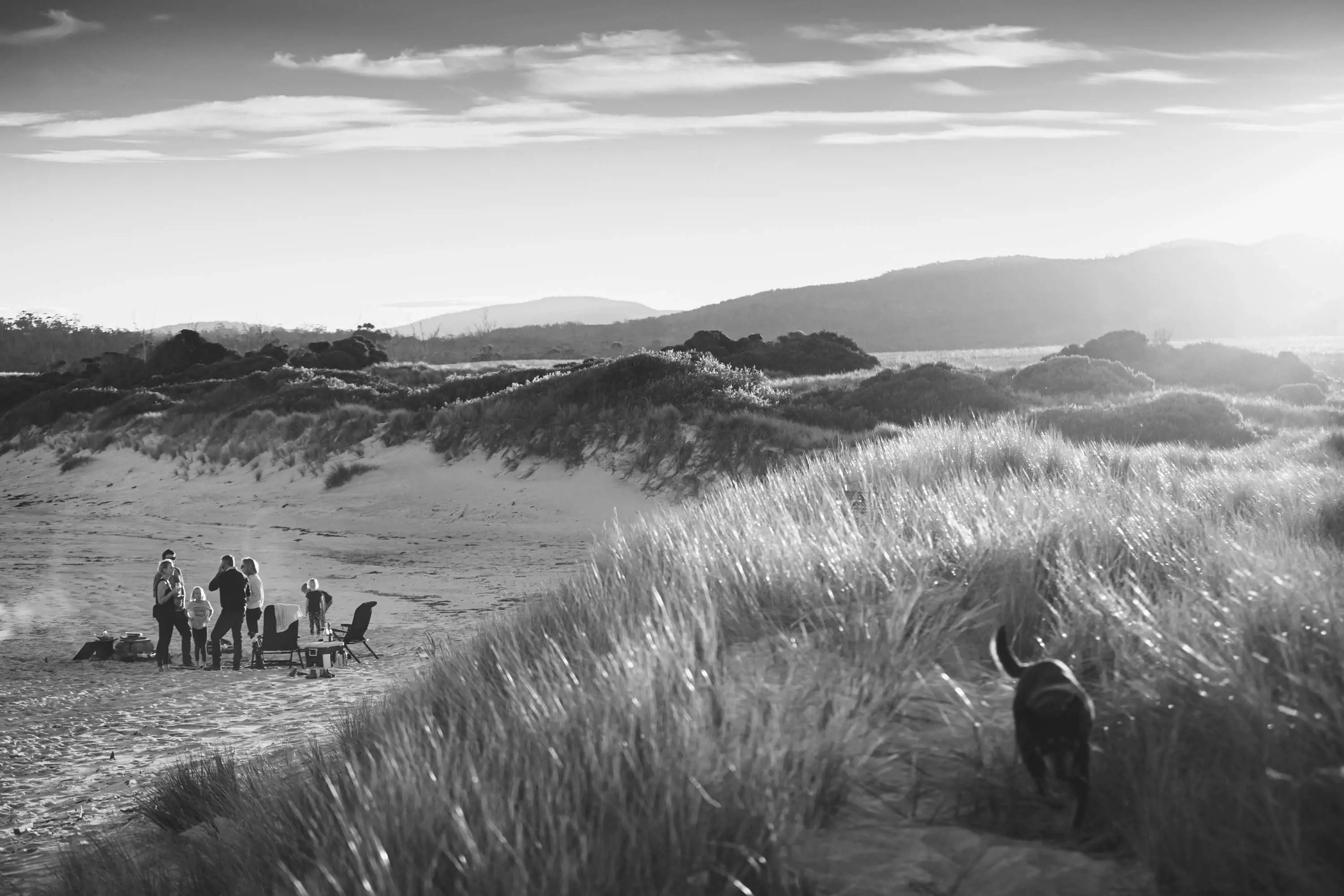 A group of people enjoy a bbq on a beach below grassy hills on a sunny, clear day.