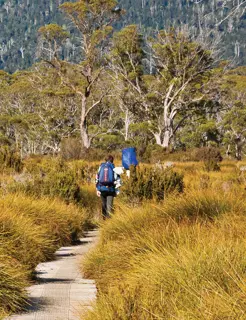 Top guided wilderness walks