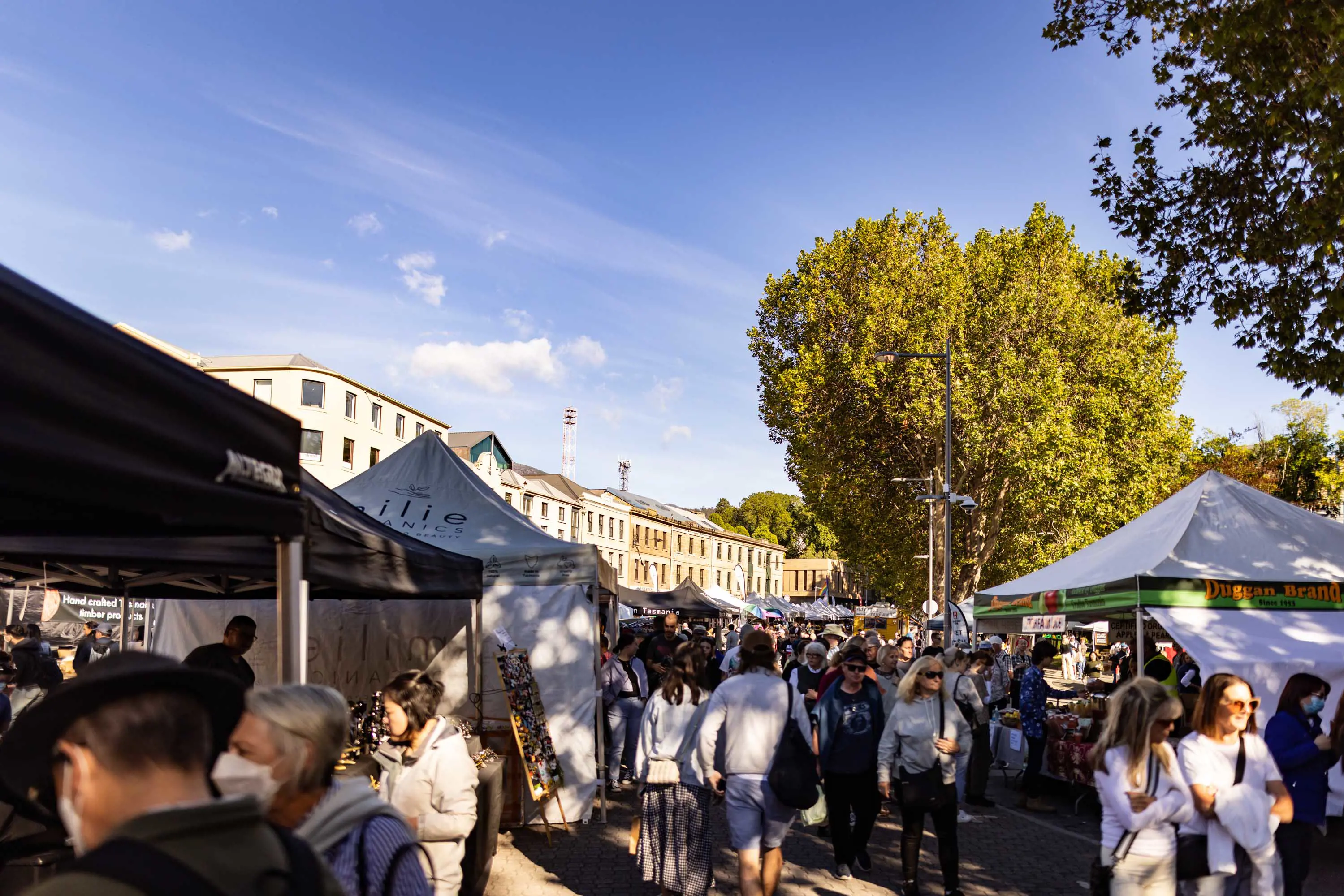 Large crowds of people walk between tent stalls on the street in front of old buildings at Salamanca Markets on a sunny day. 