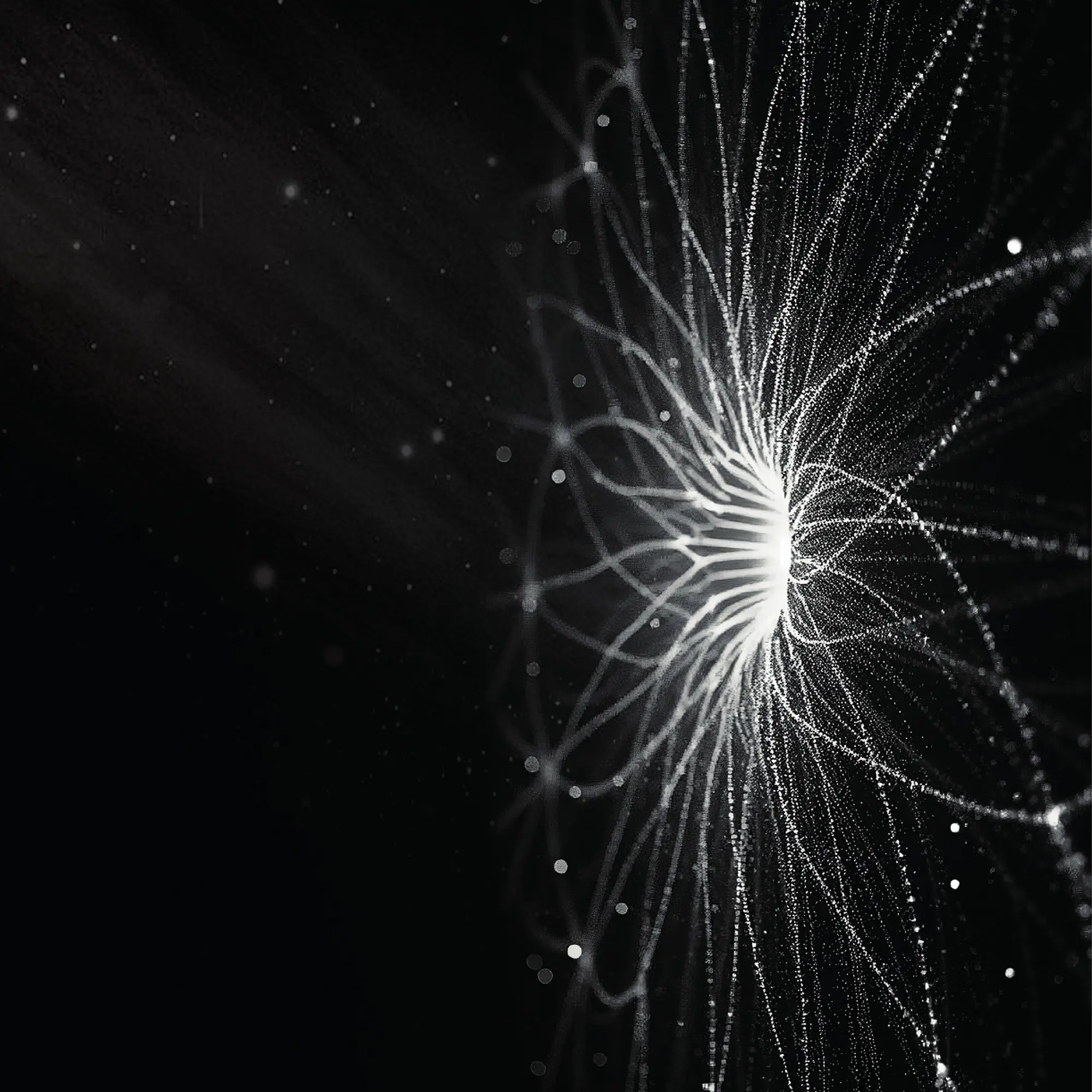 A firework-like explosion of white lights across a black background, coming from a central point. The effect is ethereal, evoking images of outer space and the natural world.
