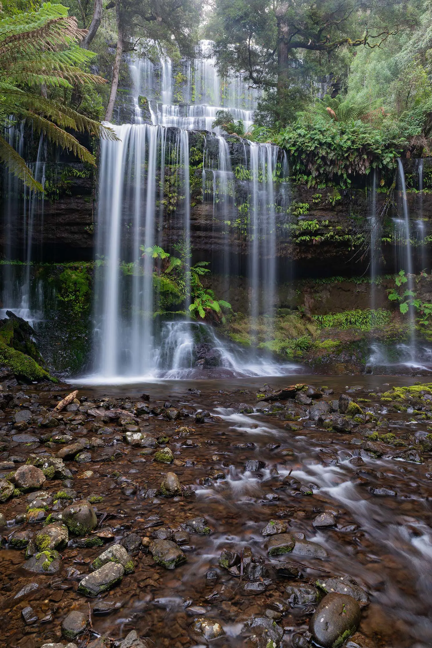 Water flows over a series of vertical overhanging cliffs, with leafy rainforest ferns and plants growing around.