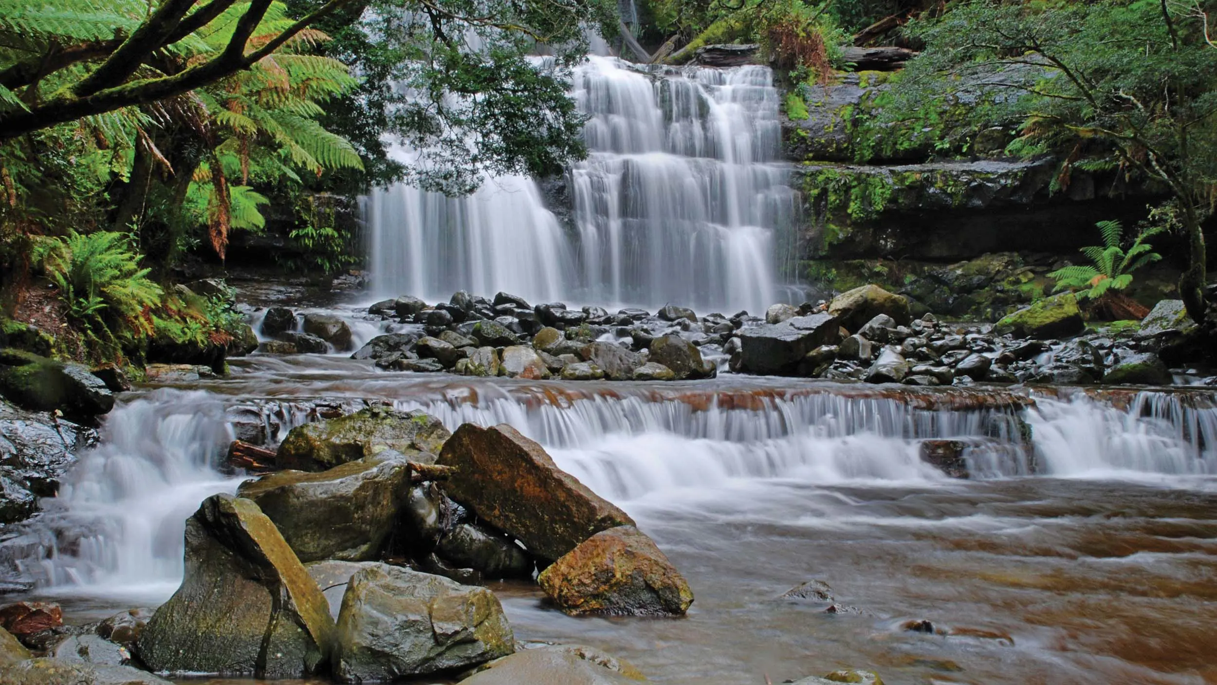 A waterfalls flows over a series of tiers, before flowing across rocks in the river and down a second, short drop. Temperate rainforest plants line either side.