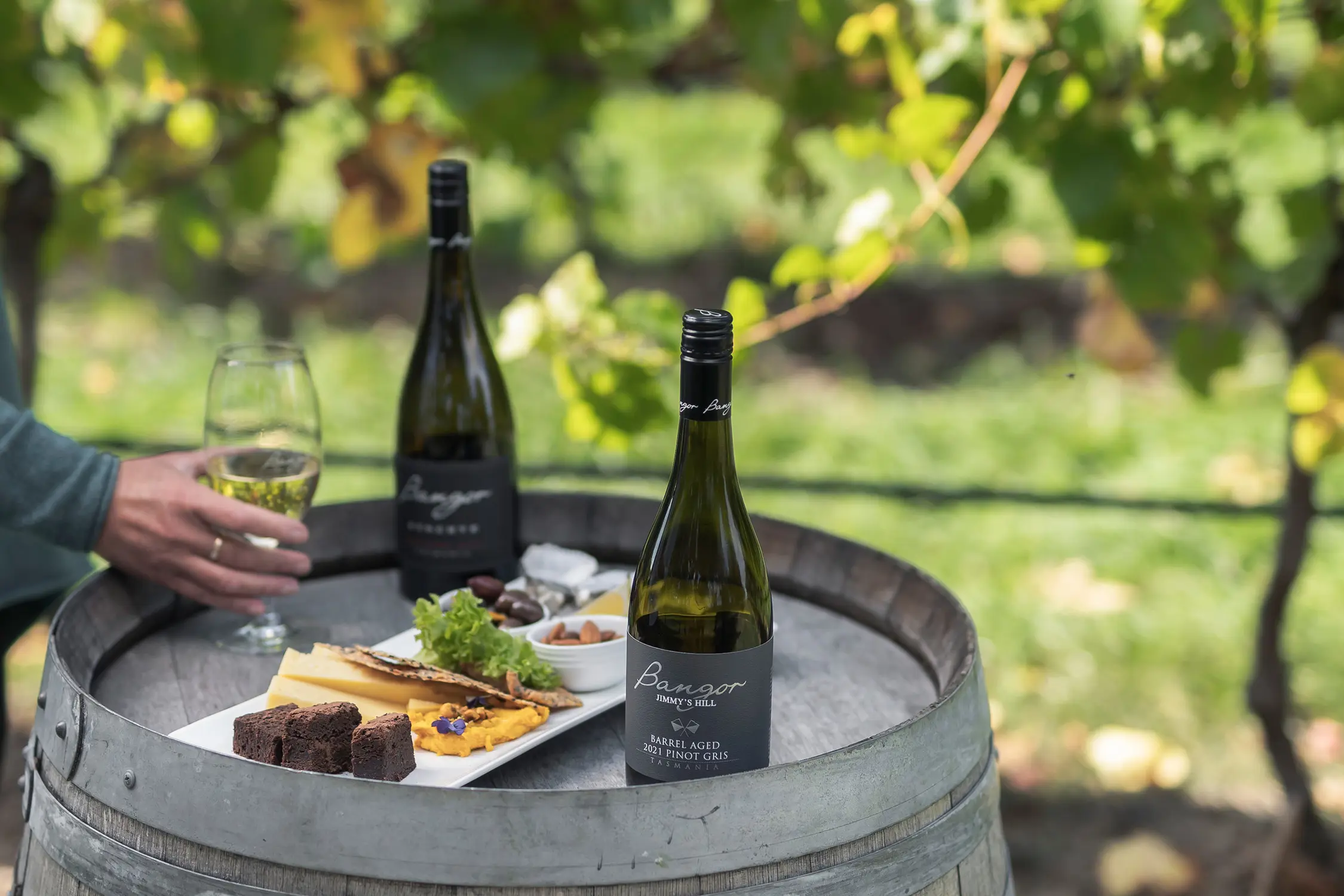 Wine bottles and a loaded cheese platter sit on a wooden barrel overlooking a green vineyard landscape.