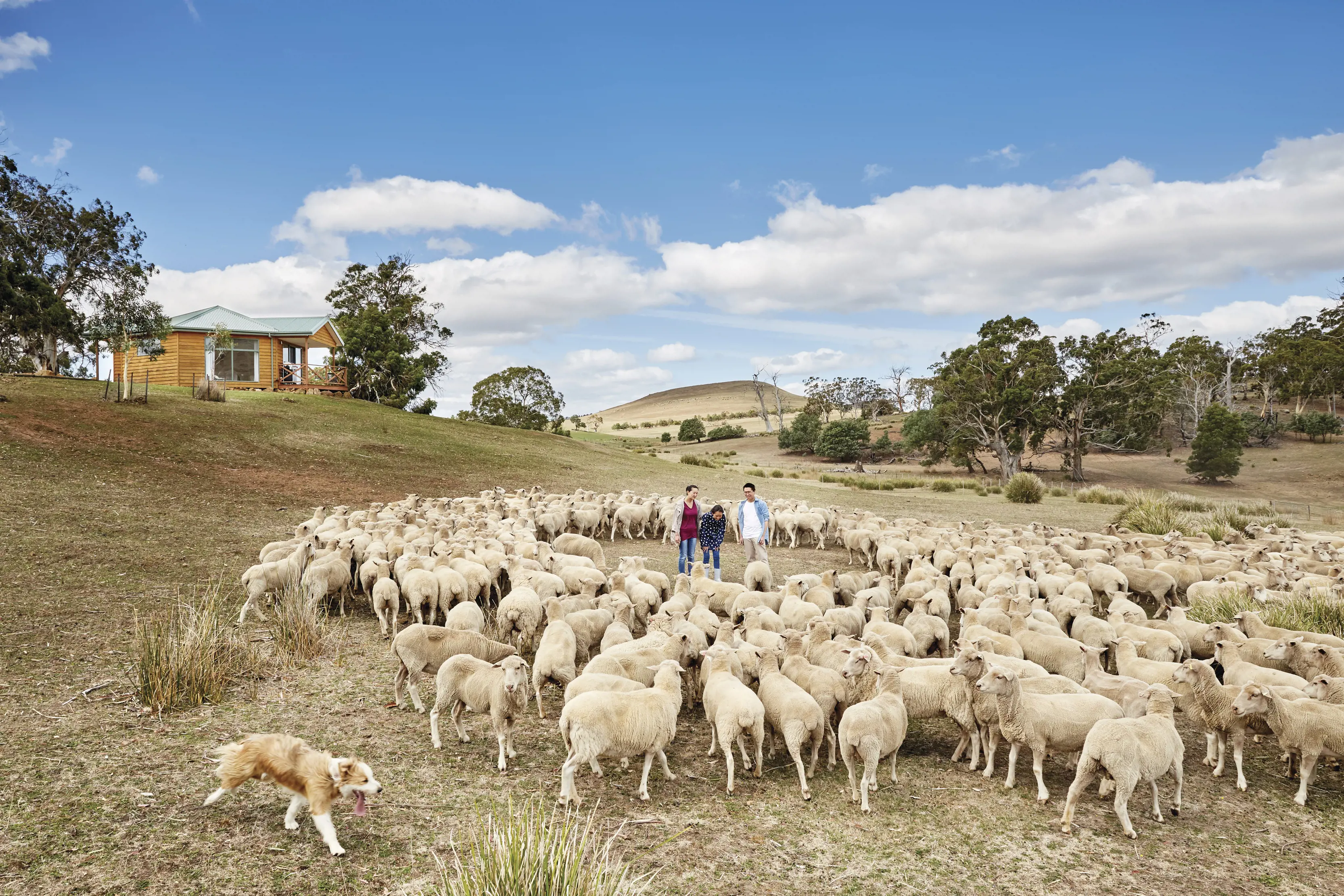 Curringa Farm
