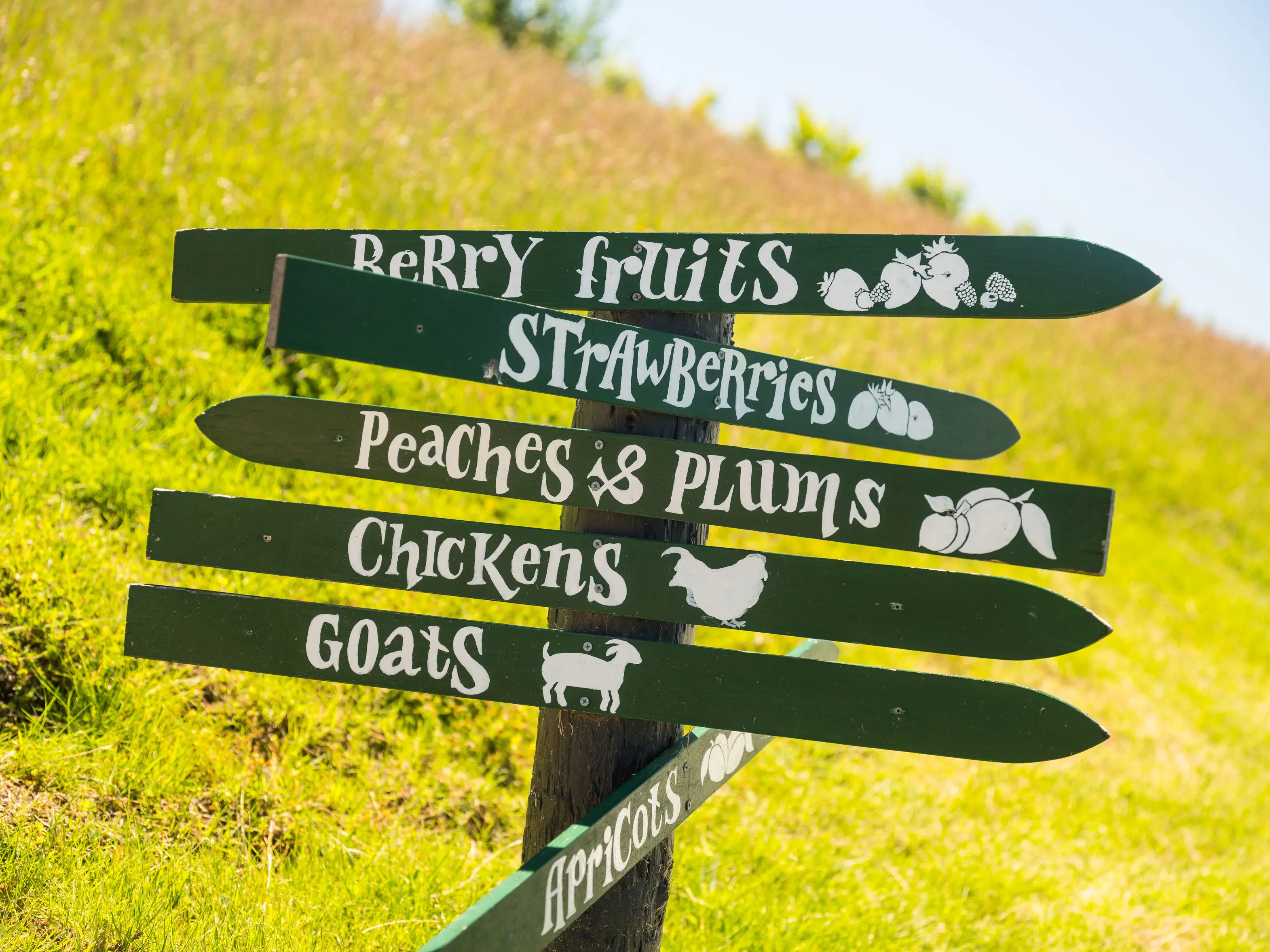 Coal River Farm