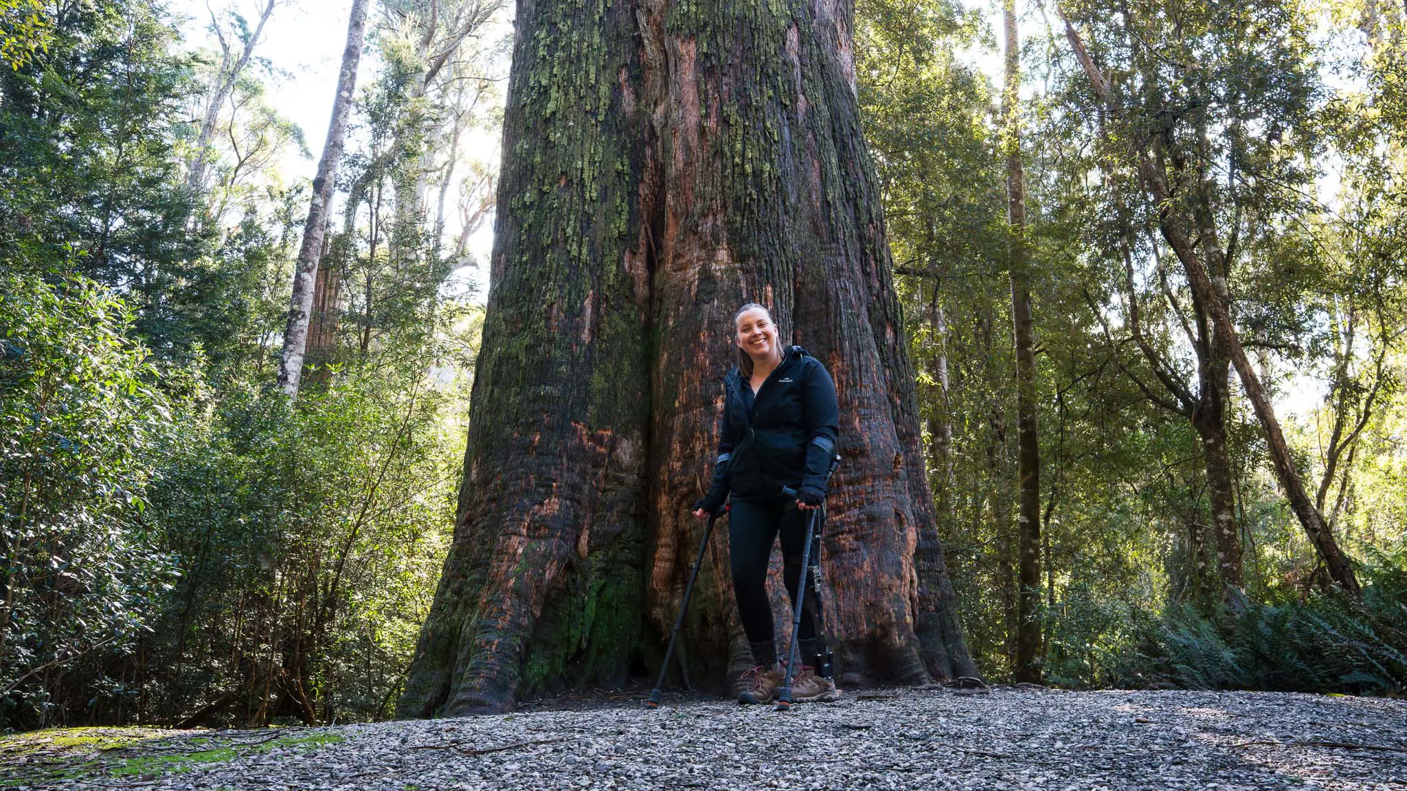 A hiker on crutches, standing at the base of a giant old-growth tree with moss-covered bark in a Tasmanian rainforest, surrounded by lush green forest vegetation and dappled sunlight.