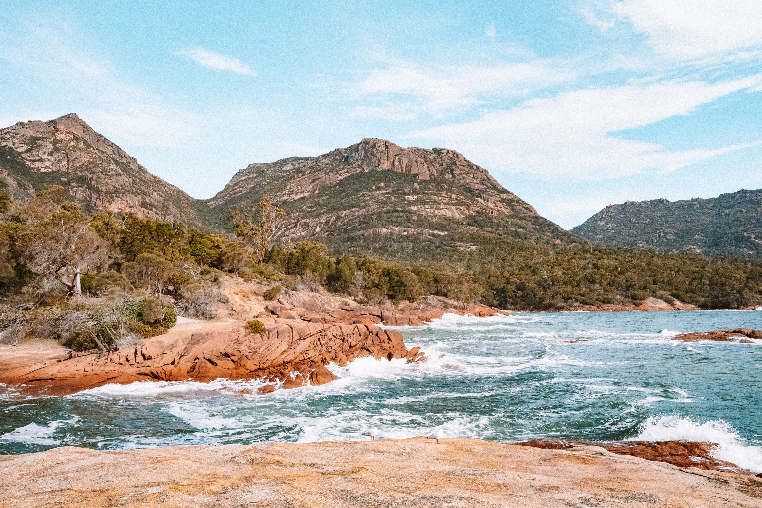 A creative's guide to Coles Bay