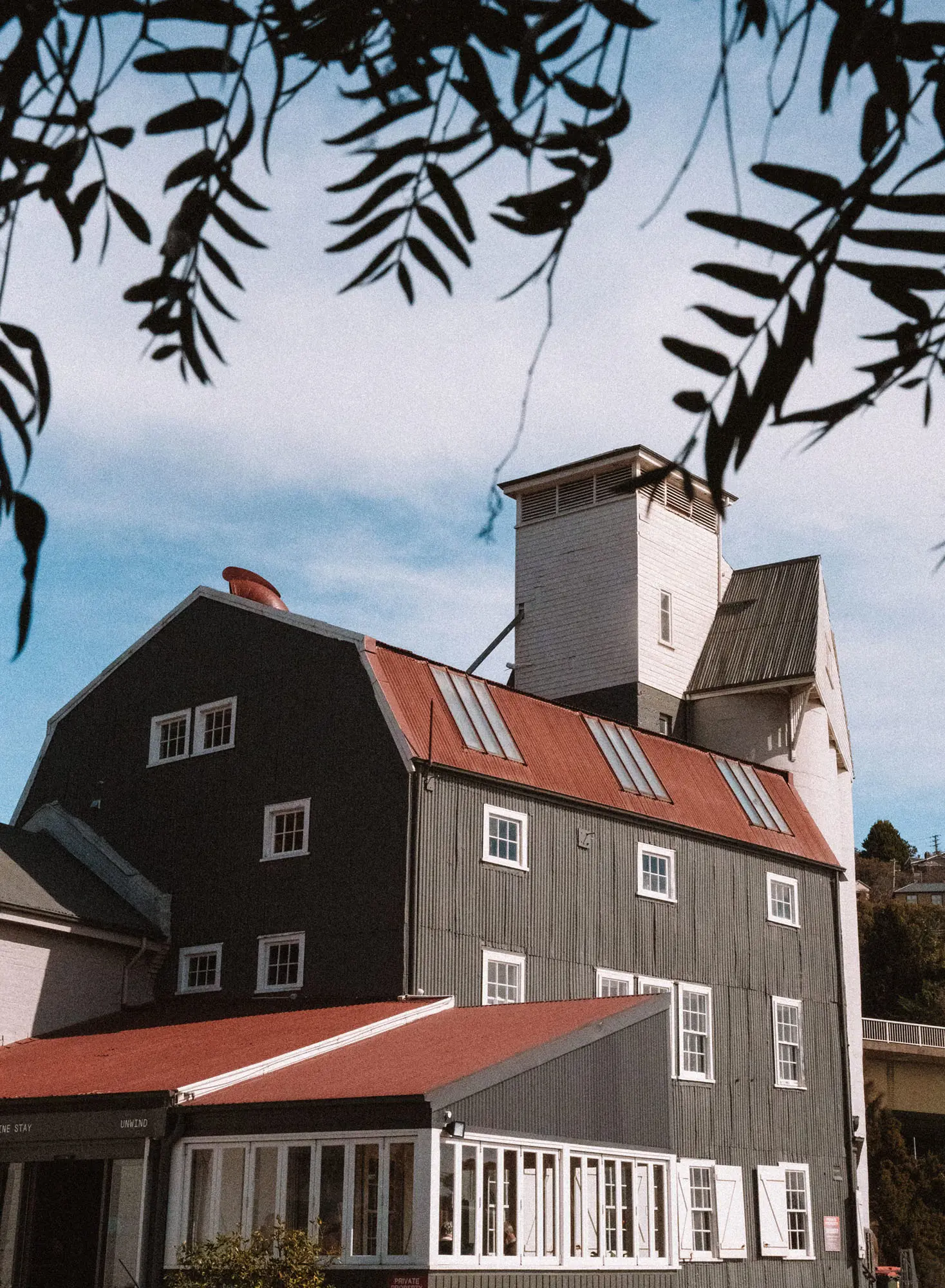 Looking up at the exterior of a repurposed wood-clad flour mill, with long walls of windows and a warm corrugated sheet roof.