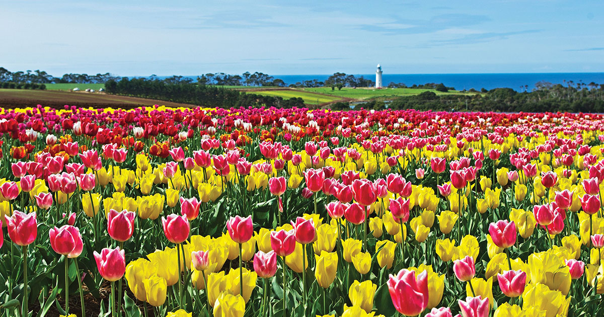Tasmania in spring
