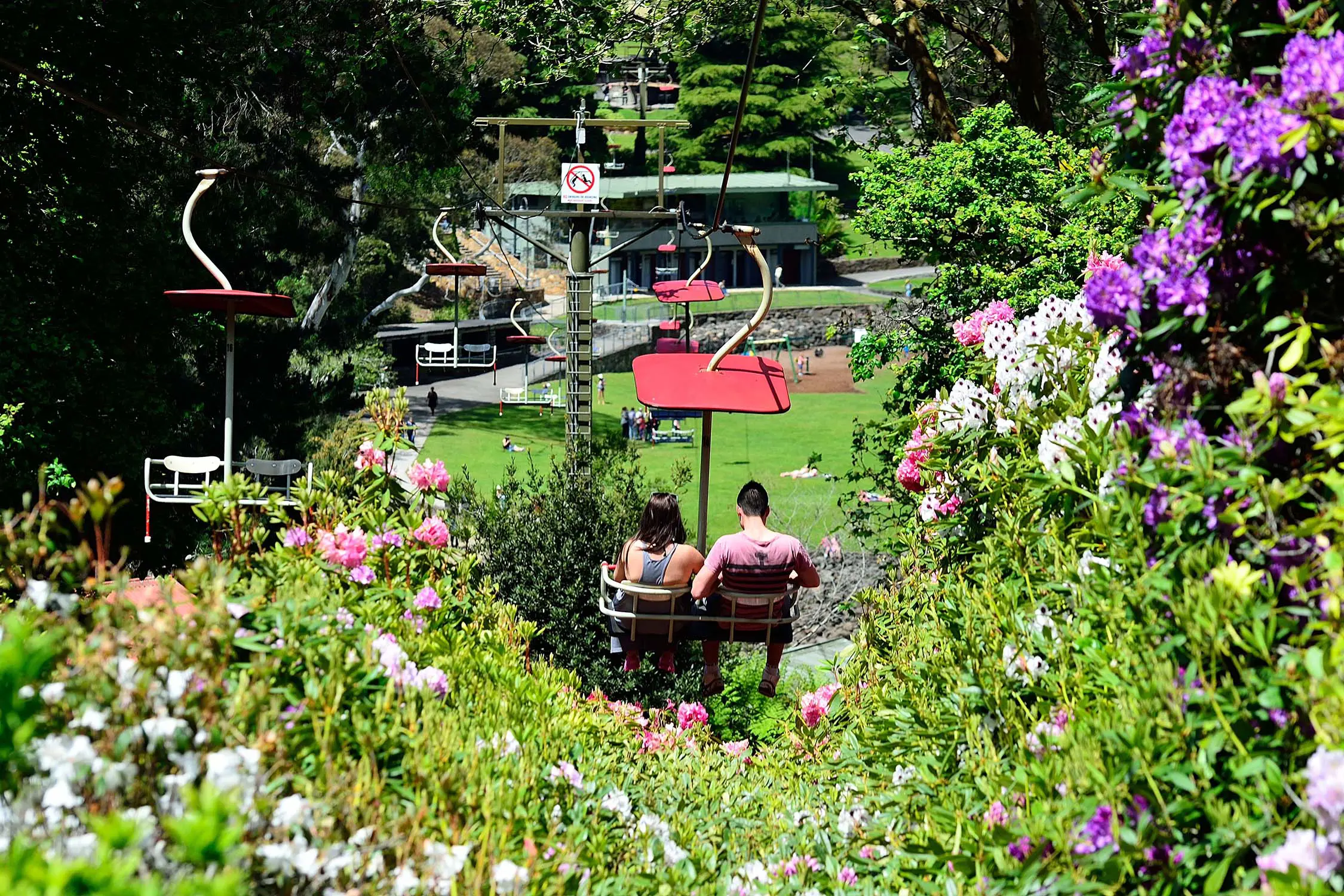 Two people sit in a chairlift seat, suspended over Cataract Gorge. They are framed by a sea of wildflowers.