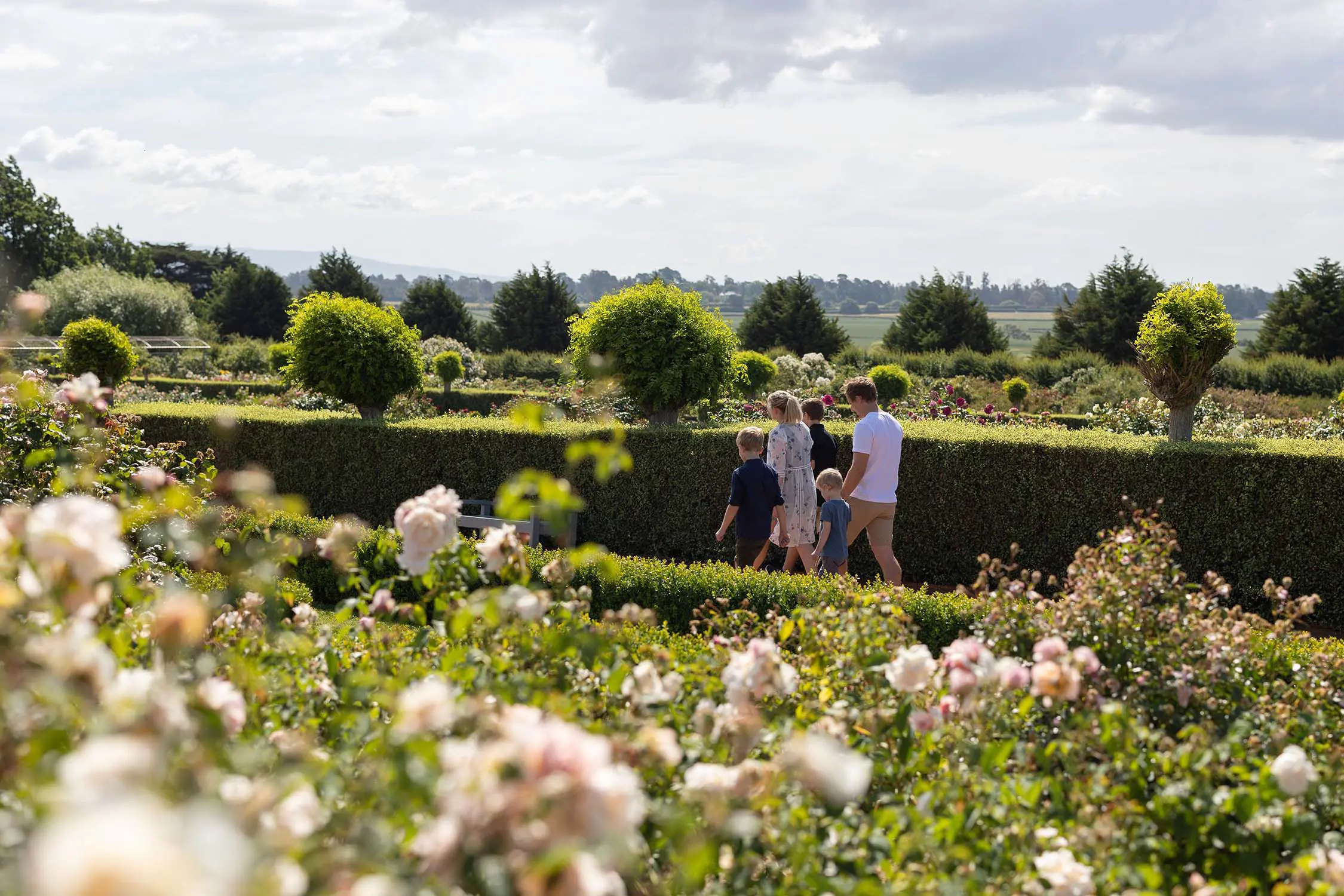 A family walk through neatly manicured hedges, the white blooms of flowers visible in the foreground.
