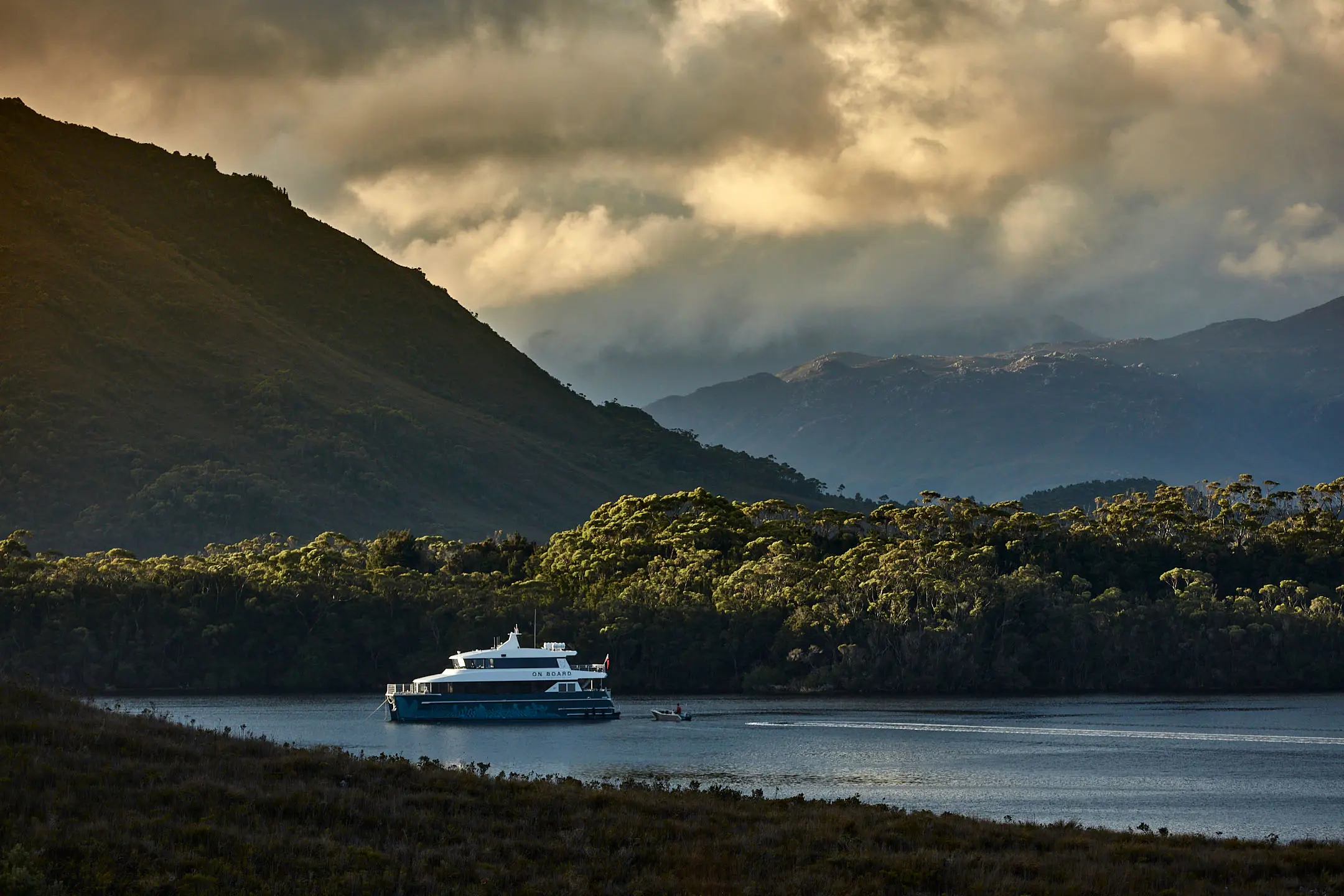 A sleek blue and white catamaran motors through still waters, surrounded by dense bush. Sharp mountains rise in the background and the sun reflects off the low-hanging dense cloud.