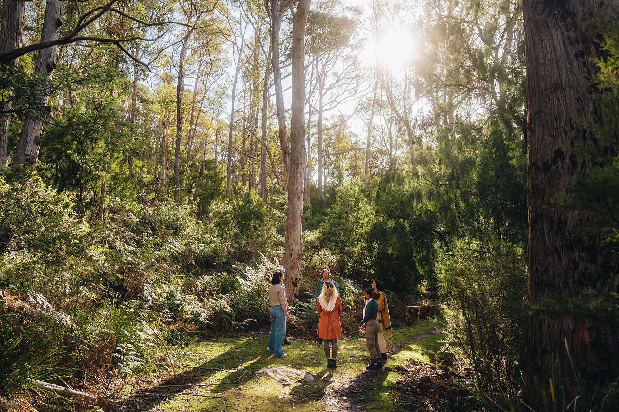 A group of people stand in a loose circle in a forest clearing, the ground covered in moss. Around them the bush rises up to envelop the setting, and the sun shines through the treetops.