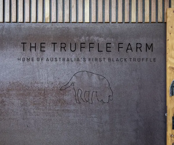 Truffle hunting