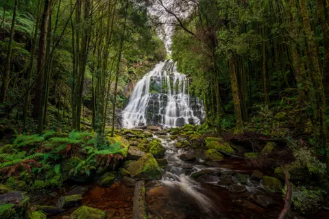 The foot of Nelson Falls surrounded by greenery