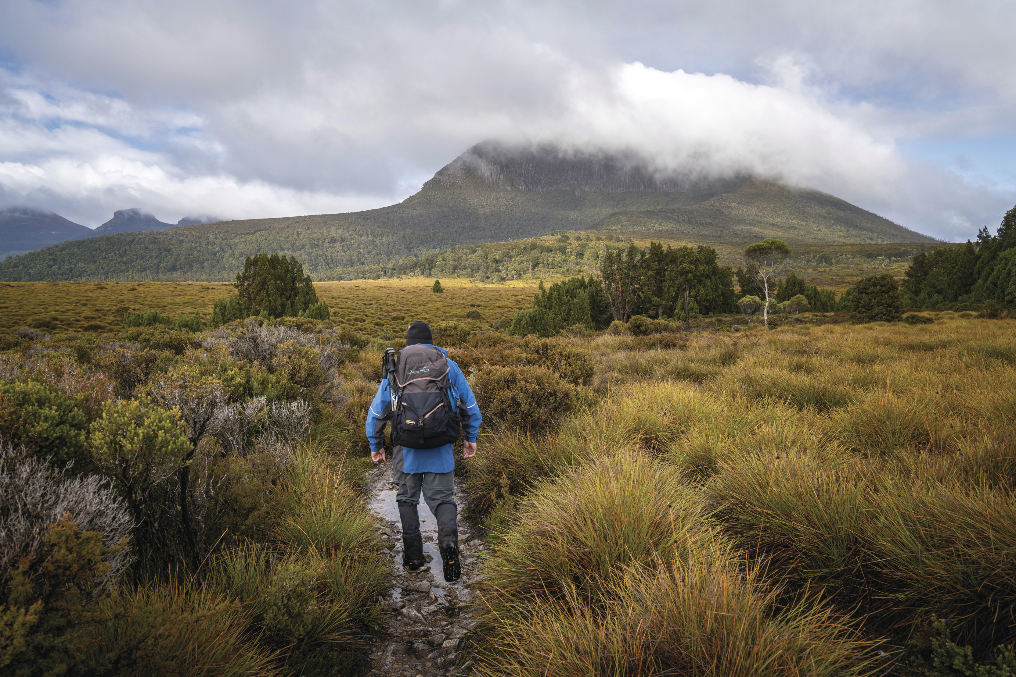 A hiker walking towards Mt Pelion West, Overland Track. Clouds cover the mountain in the backdrop.