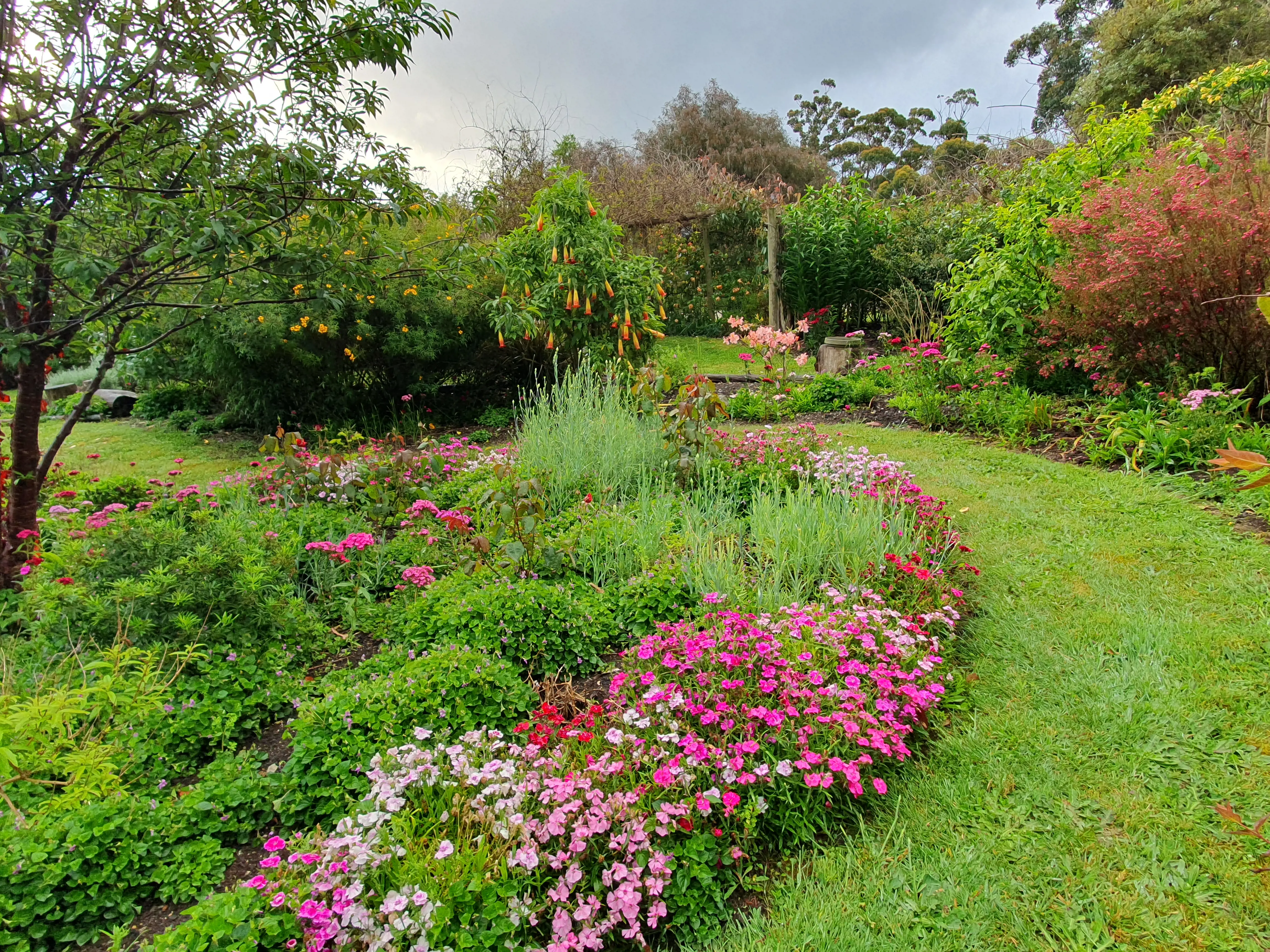 Shot of Eagle's Roost Farmstay's luscious green garden with flowers blooming adding colour to the scene..