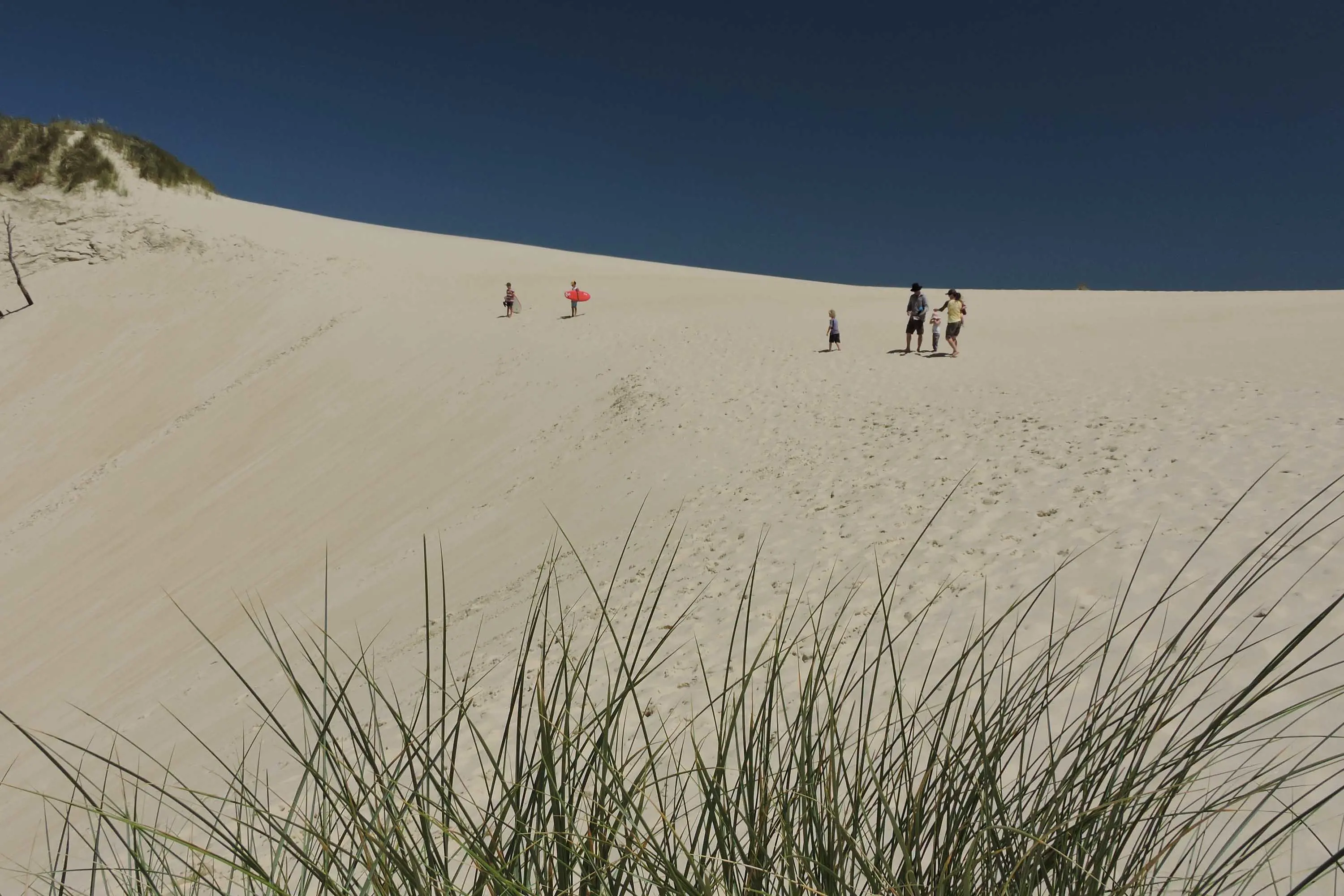 A young family stand at the top of a tall sand dune on a fine day. Two young children stand nearby holding boards for sliding down the sand.