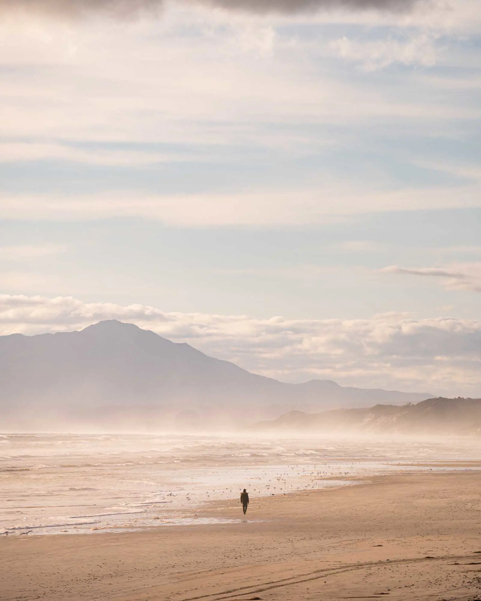 A solitary walker on a wide, sandy beach on a bright sunny day. Clouds and a wind-swept mountain are in the background.