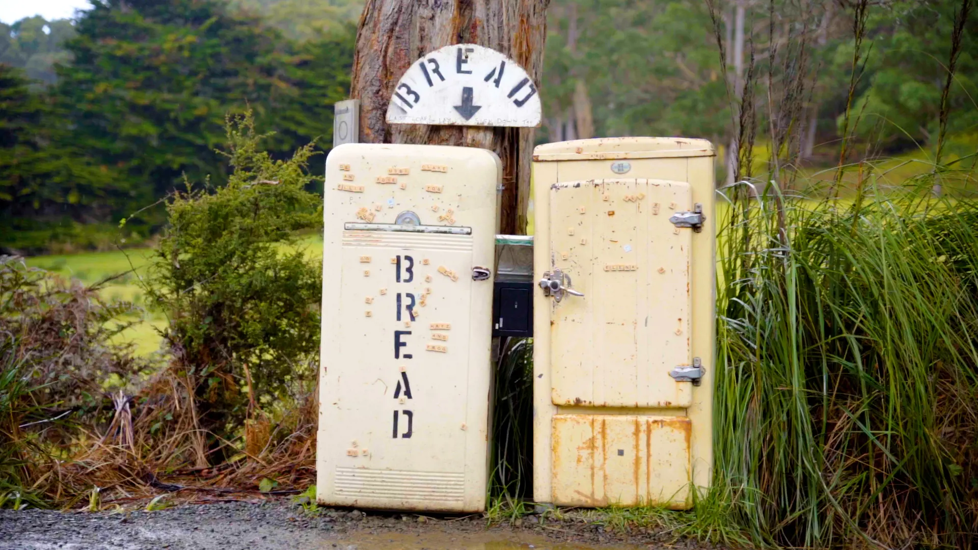 Two old fridges, one with the word 'bread' stenciled in black onto it, stand on the side of a road under a tree.