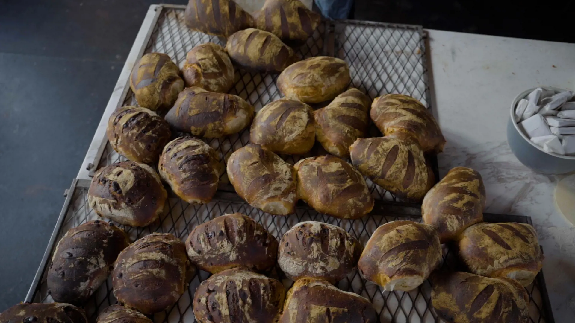 Dozens of small handmade loaves of bread are scattered on a cooling try on top of a table.