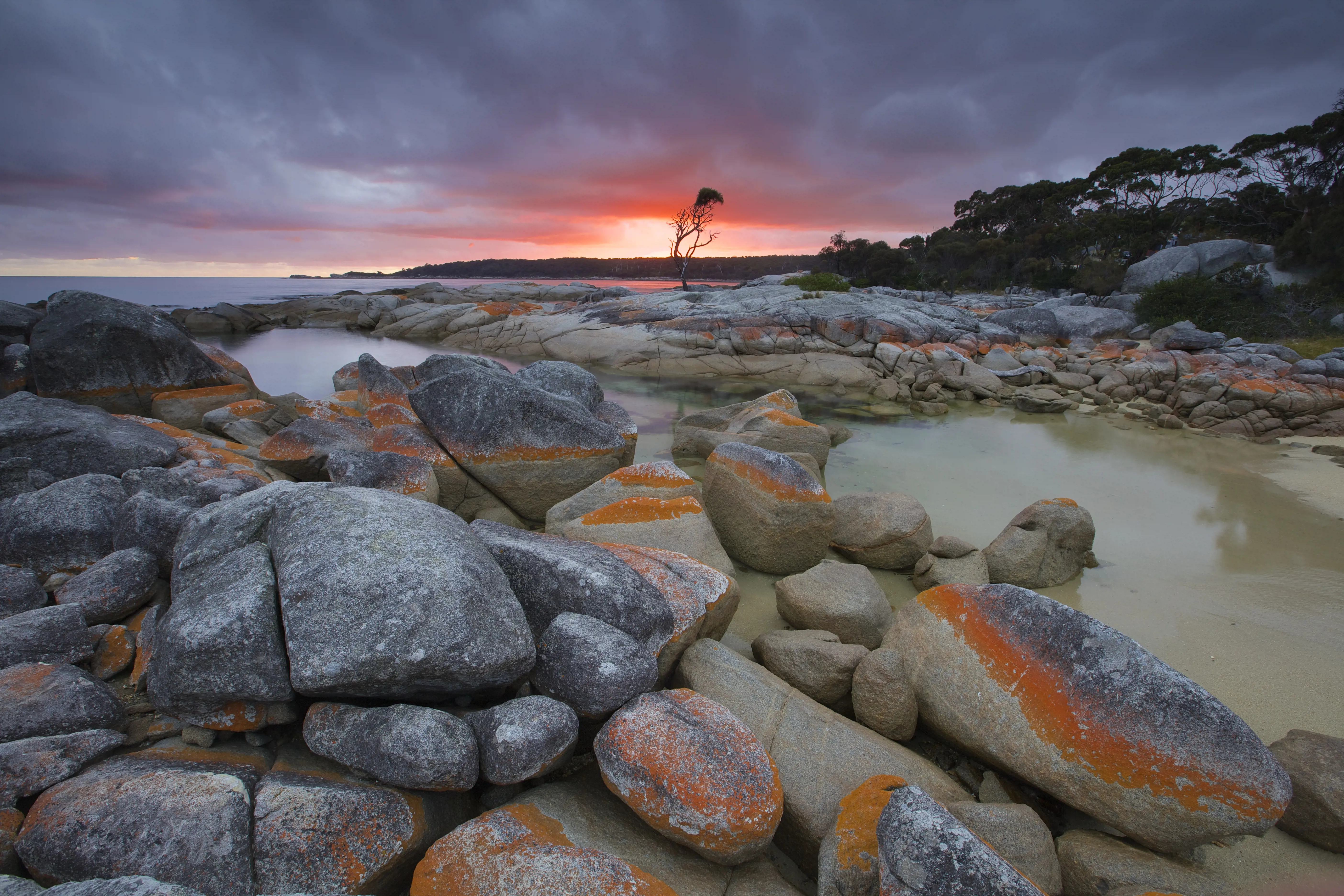 Coastline with orange lichen covered rocks and sunrise in the background