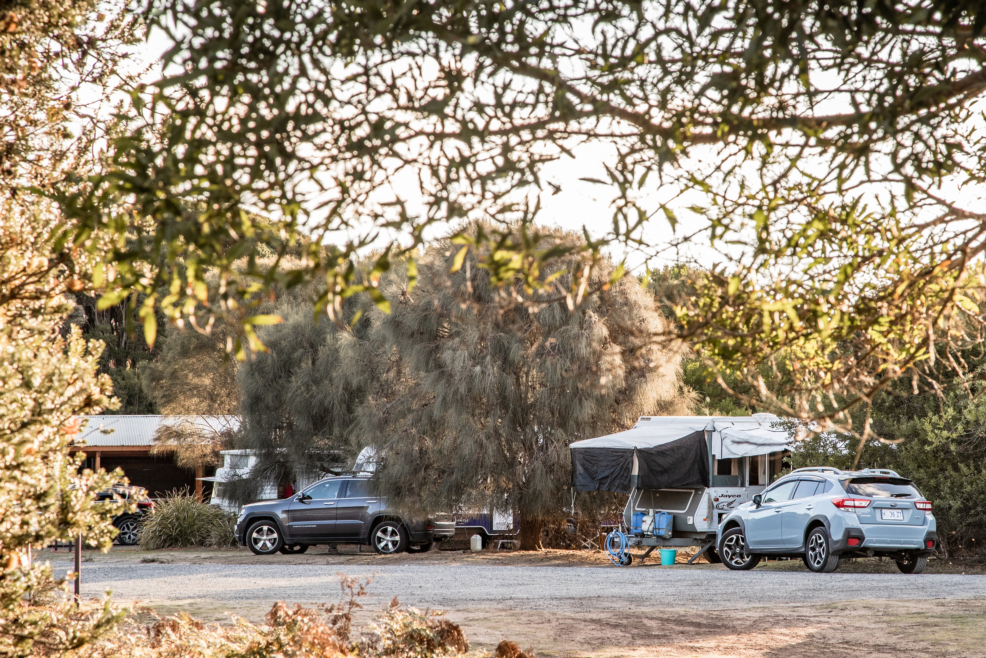 Campervans and vehicles at Bakers Point Campground, Narawntapu National Park.