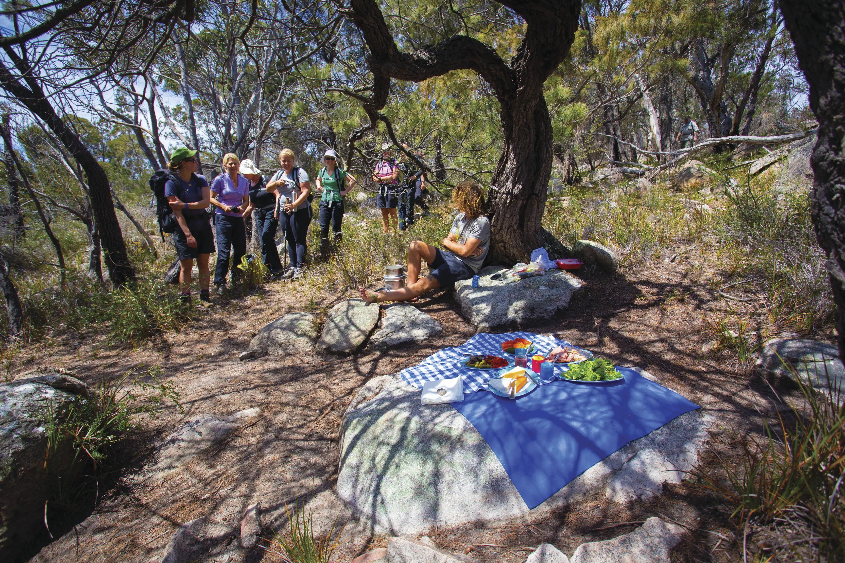 Walkers stop for a picnic style lunch on The Freycinet Experience Walk