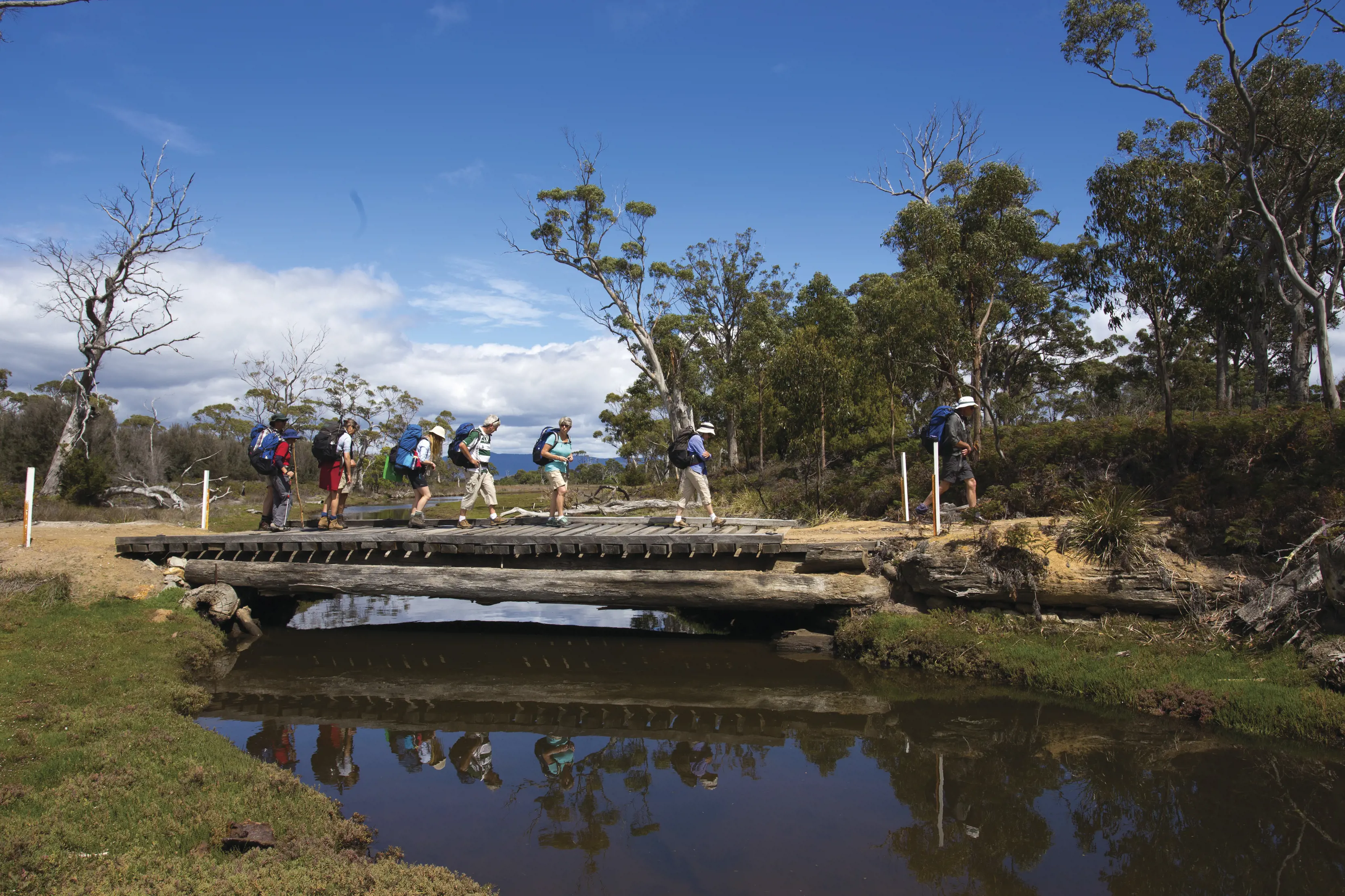 A group of hikers cross a small bridge on the Maria Island Walk