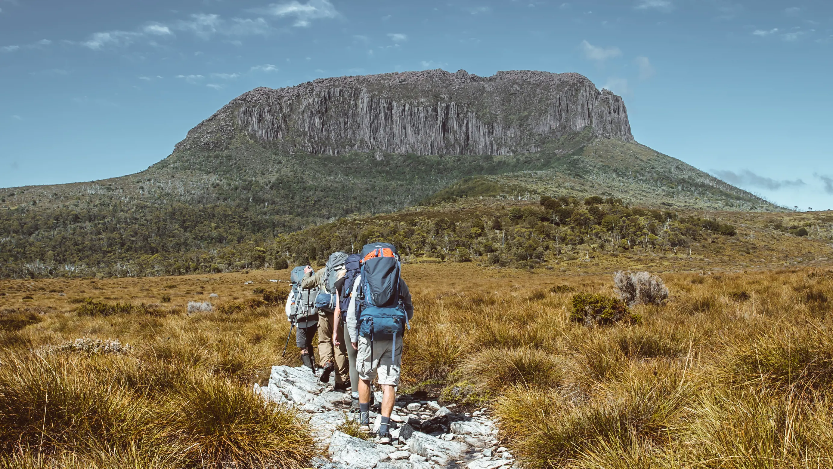 A group of hikers walking the Overland Track at Cradle Mountain.