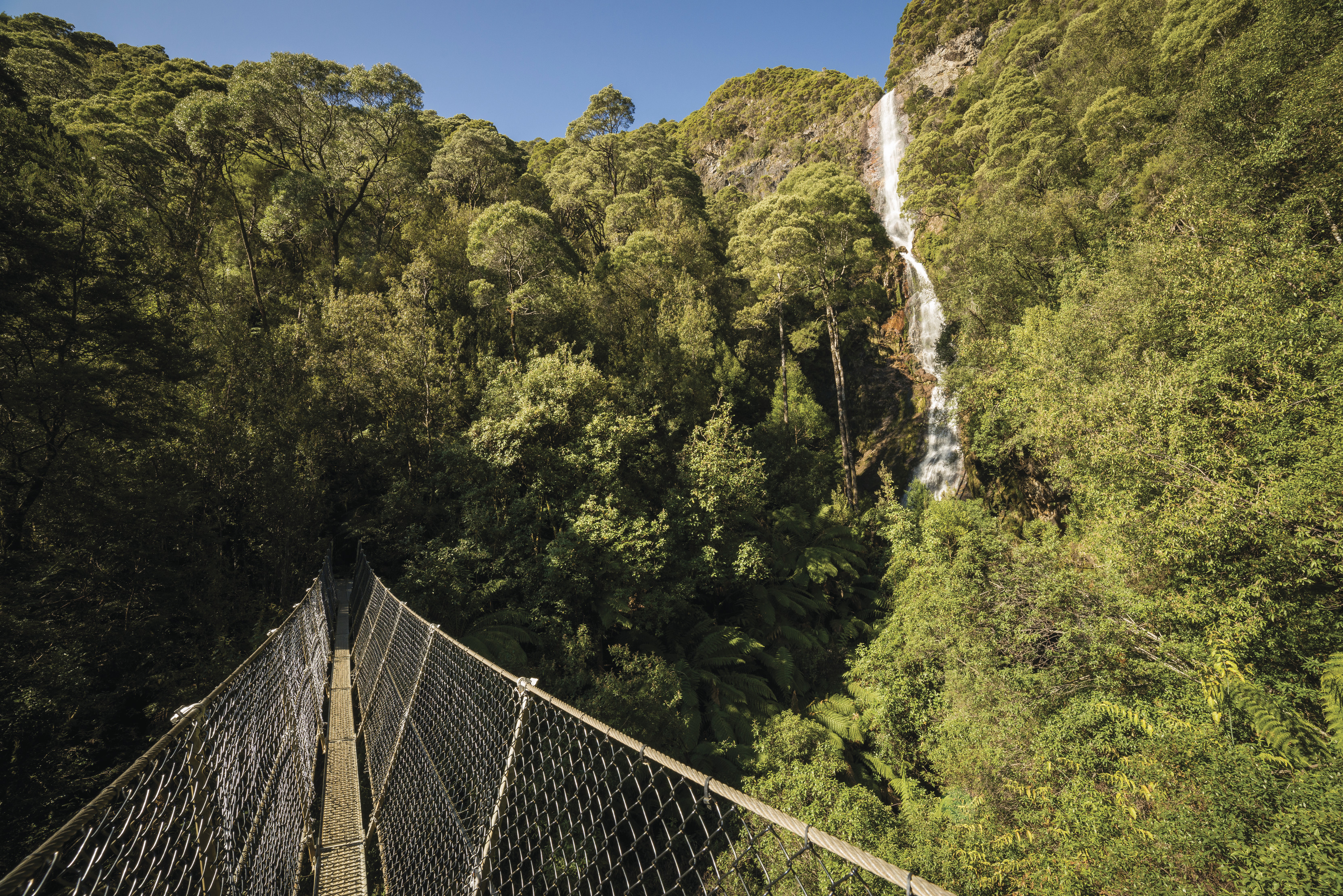 Wide of Montezuma Falls, Tasmania's highest waterfall, taken from the nearby bridge.