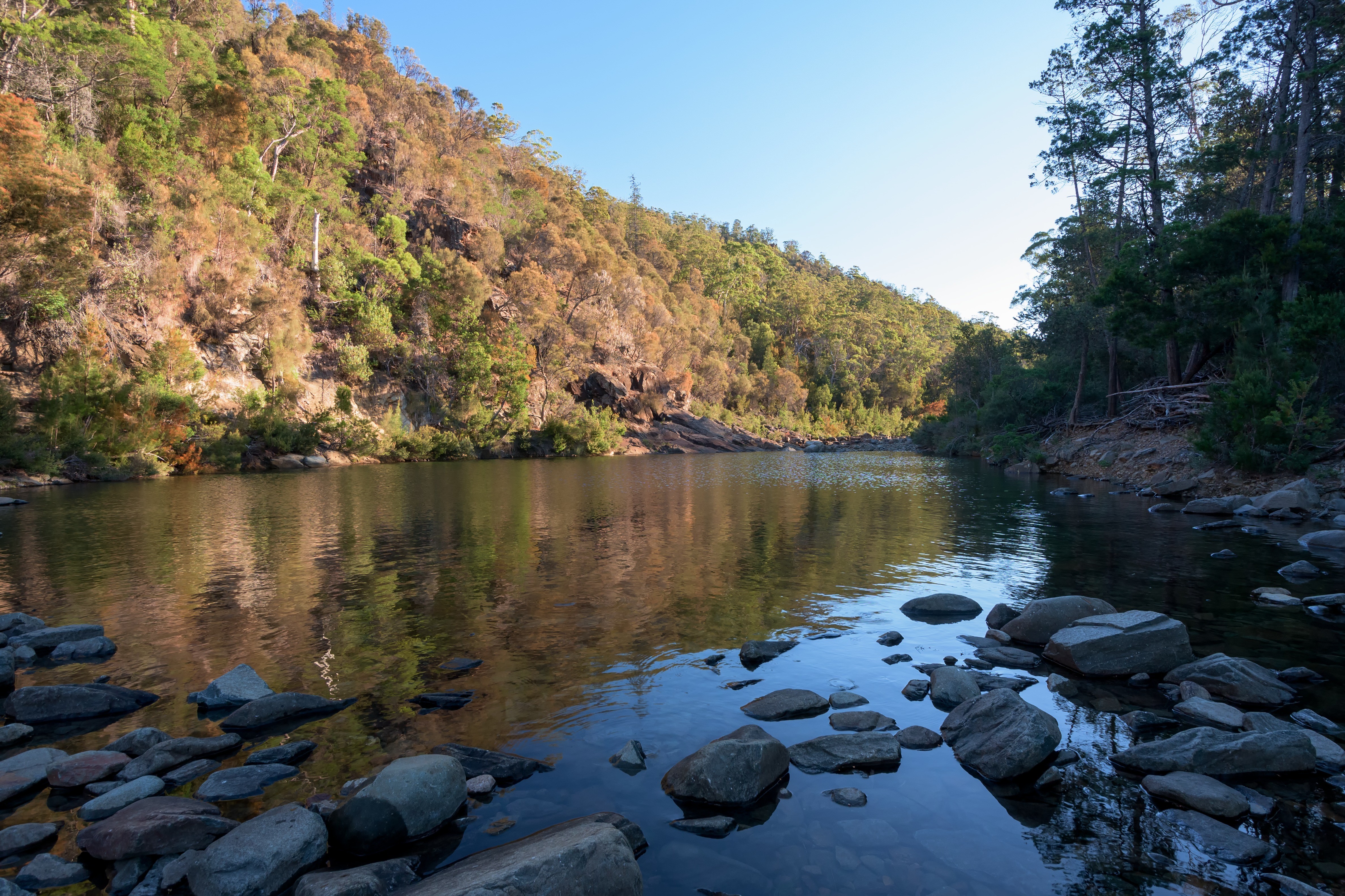 Still water along the walking track of Douglas-Apsley National Park 