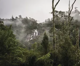 Aerial shot capturing the mist above St Columba Falls State Reserve