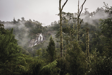 Aerial shot capturing the mist above St Columba Falls State Reserve