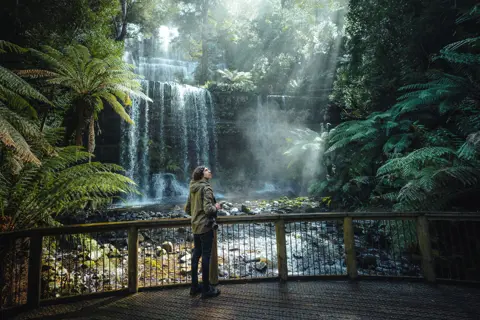 A man stood in front of Russell Falls, looking up at the fern forests and tall trees.