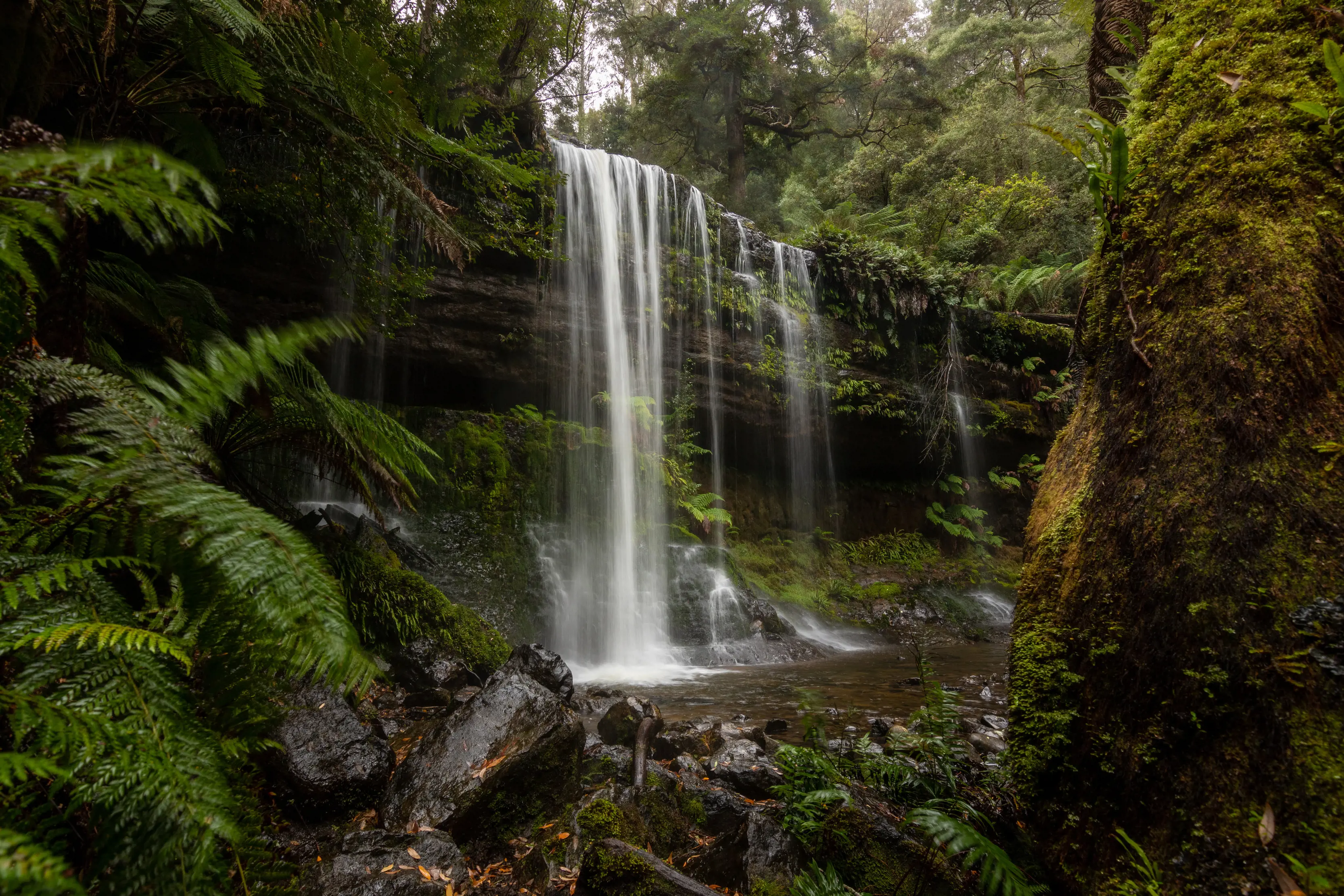 Russell Falls waterfall covered in bright greenery in Mt Field National Park.