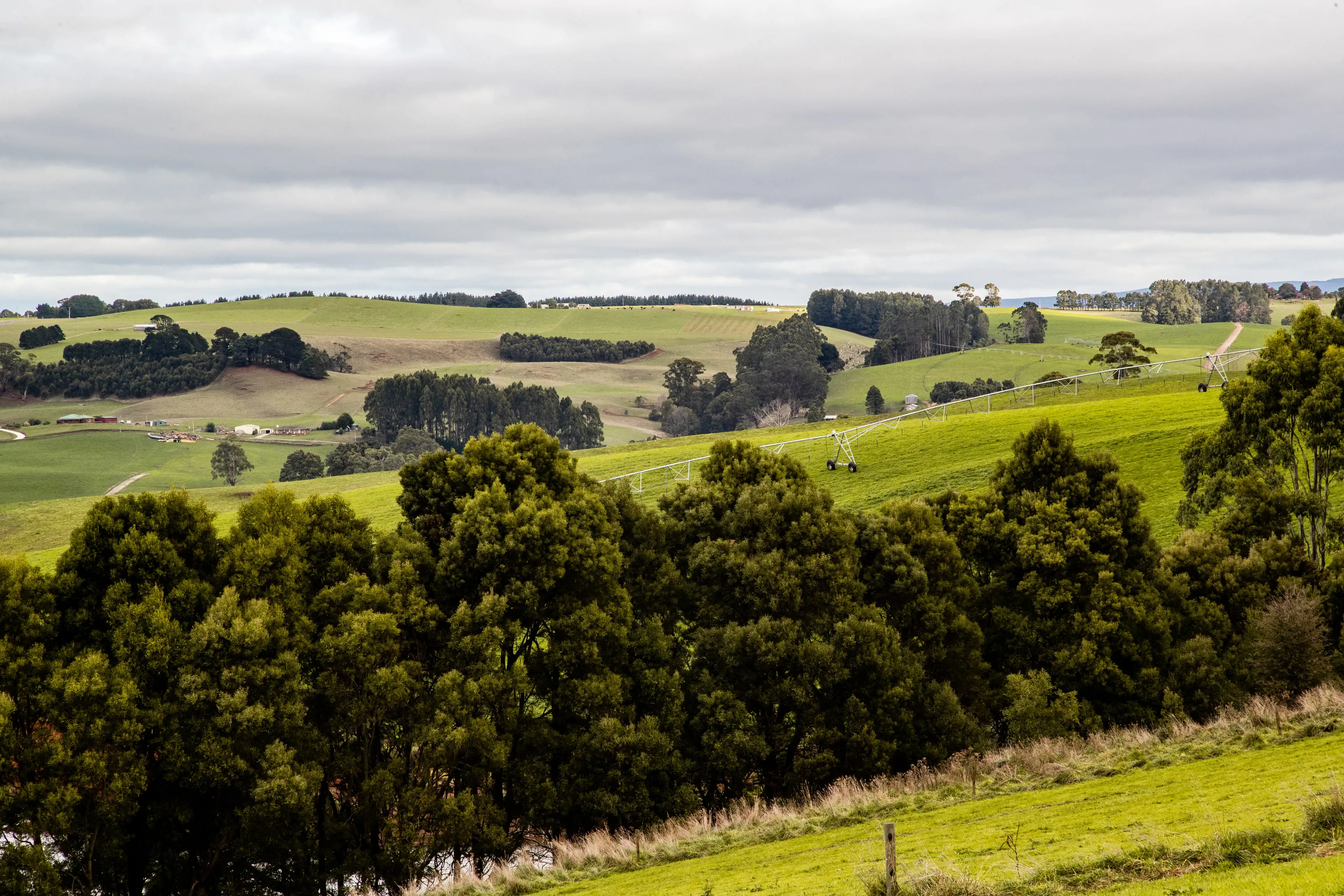 Green farmland surrounding Burnie in North west Tasmania.