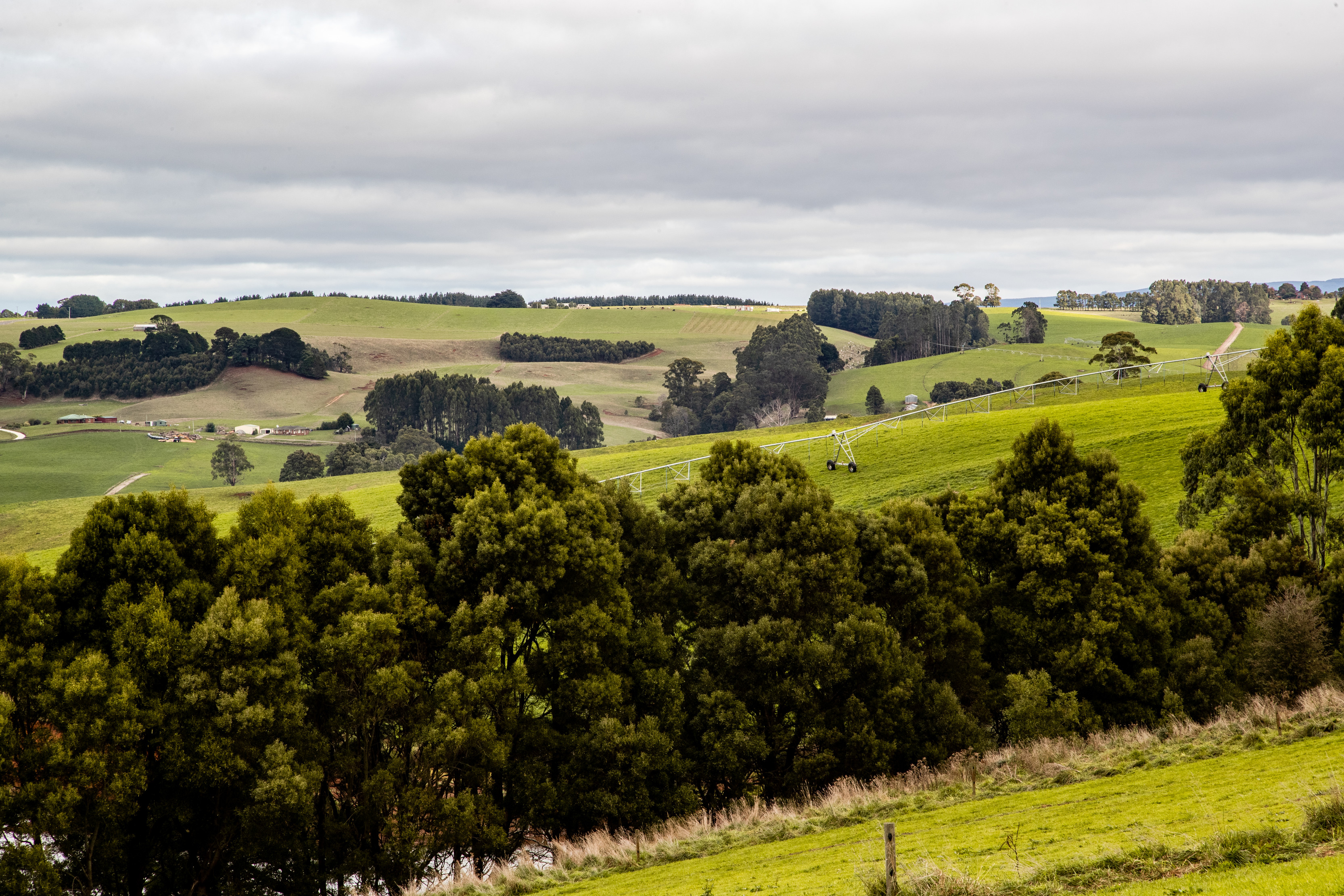 Green farmland surrounding Burnie in North west Tasmania.