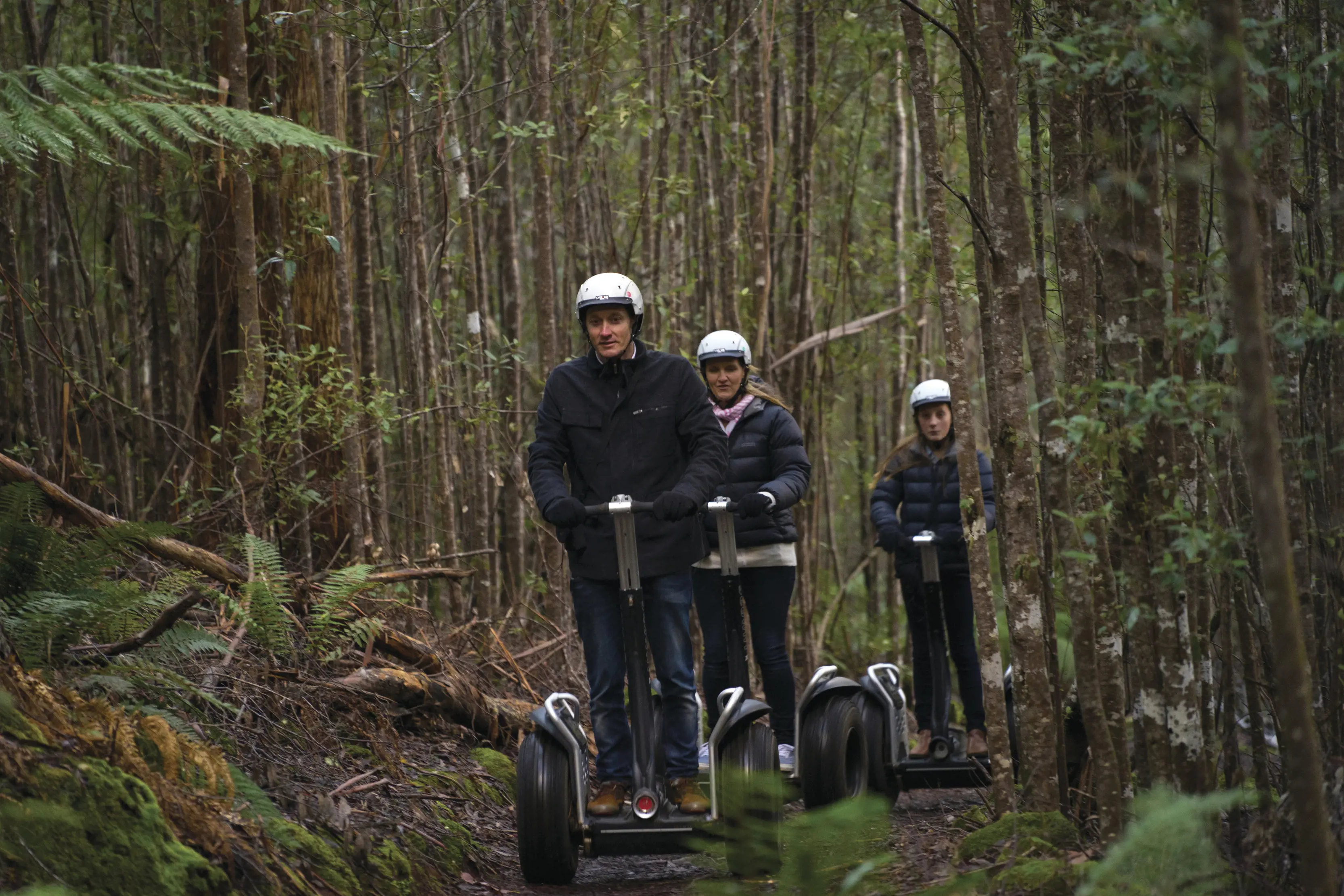 Three people wearing white helmets ride segways on a pathway surrounded by tall trees at Hollybank Wilderness Adventures.