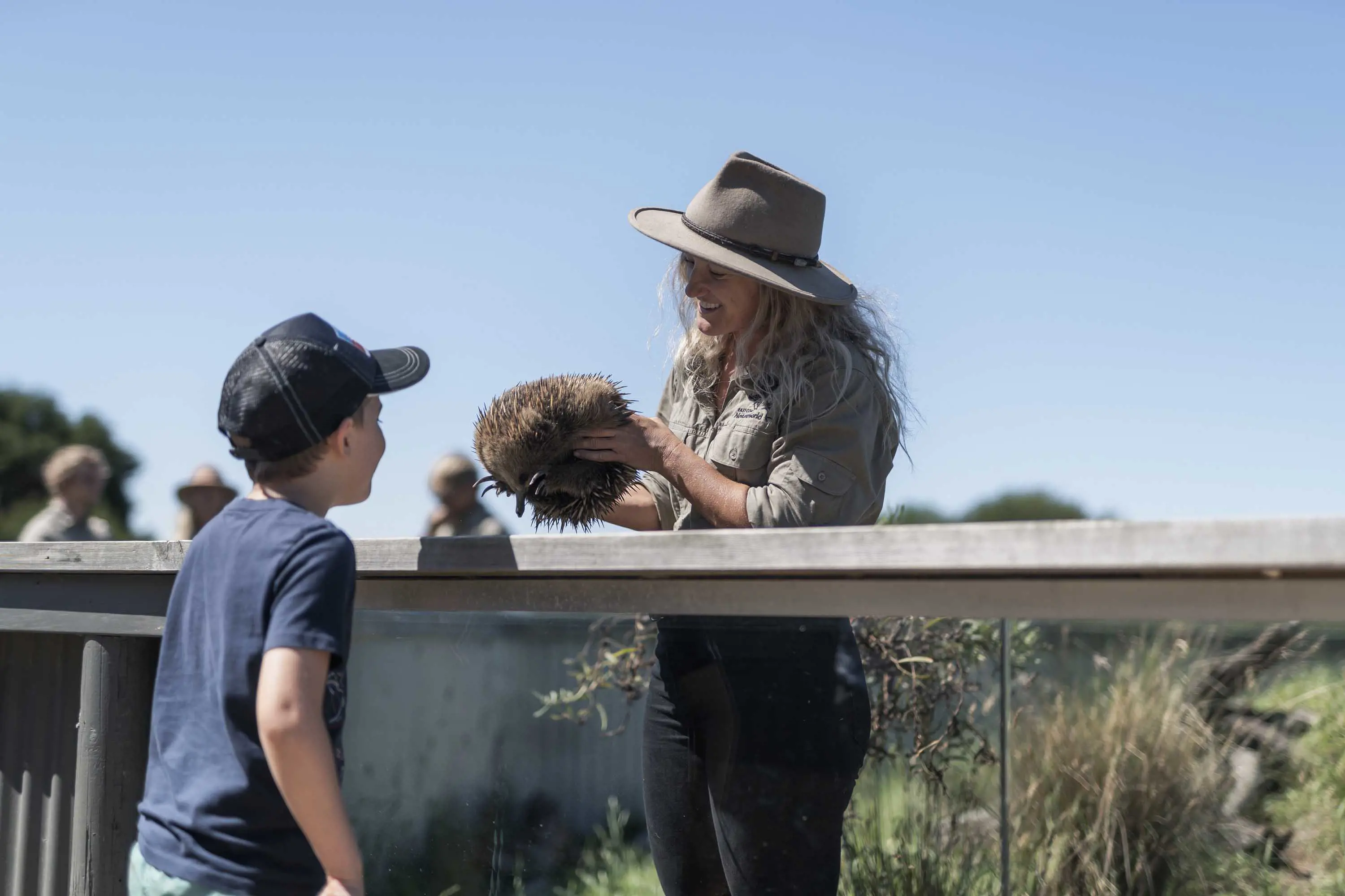 A park guide holds a large echidna over the fence of an enclosure to show a young boy in a baseball cap.
