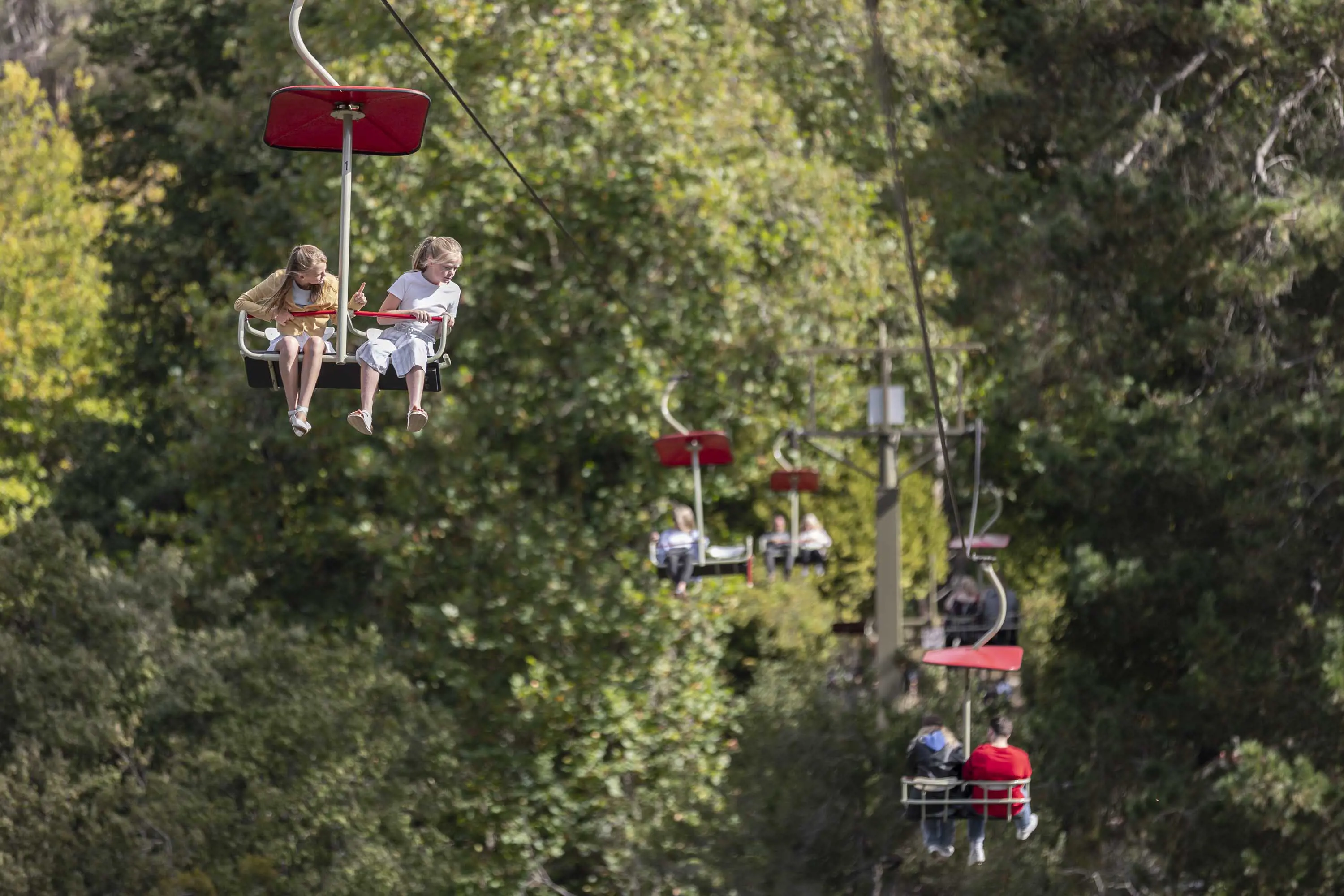 A chairlift cable with several chairs traverses a park full of tall, leafy green trees. Two girls lean in their chars and look down from their seats.