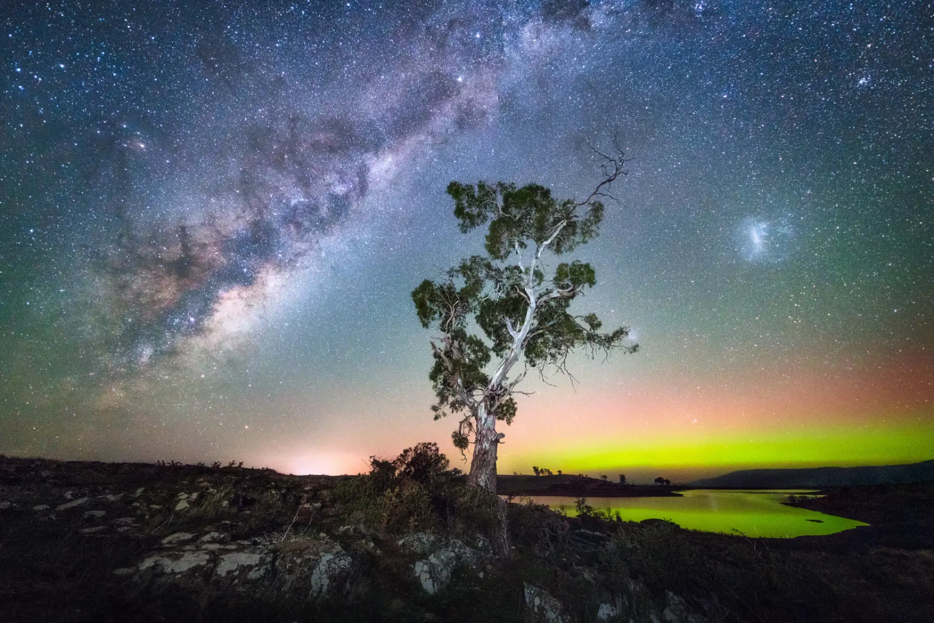 Colourful starry landscape with a large tree in the foreground