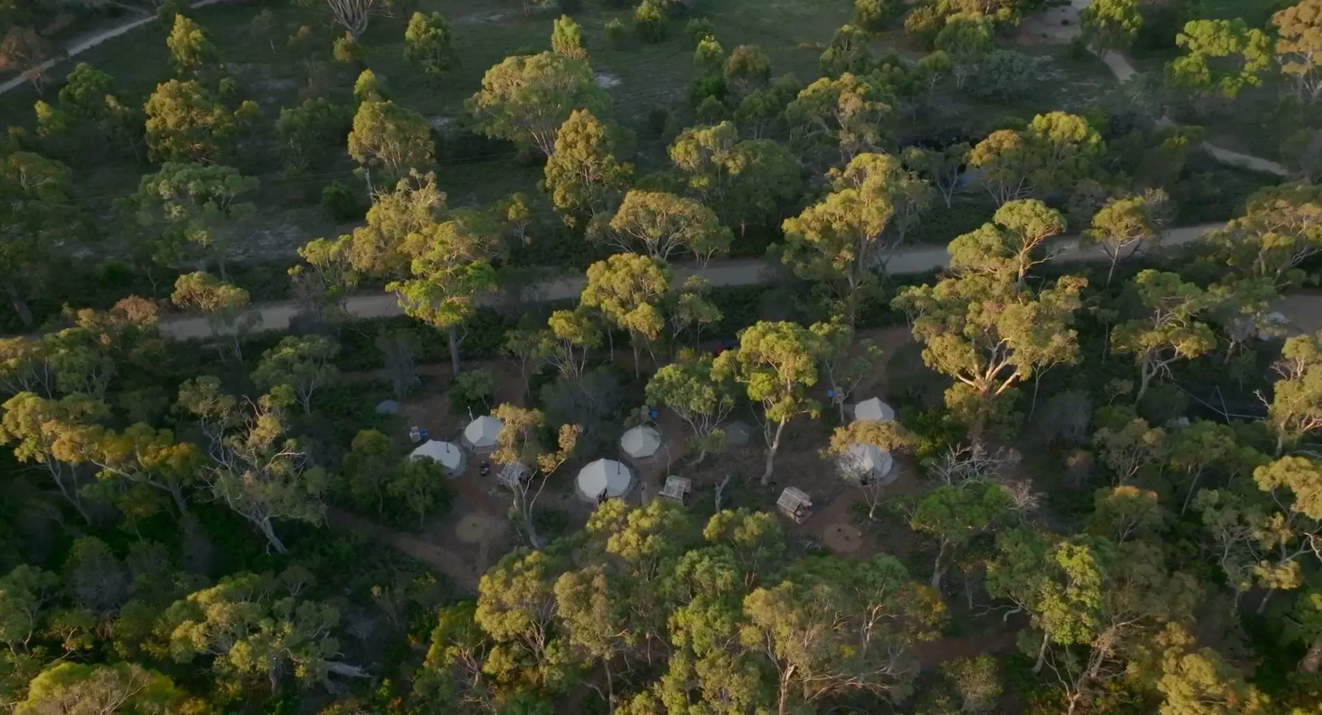 An aerial view of large canvas dome-shaped tents nestled amongst tall trees near a coast.