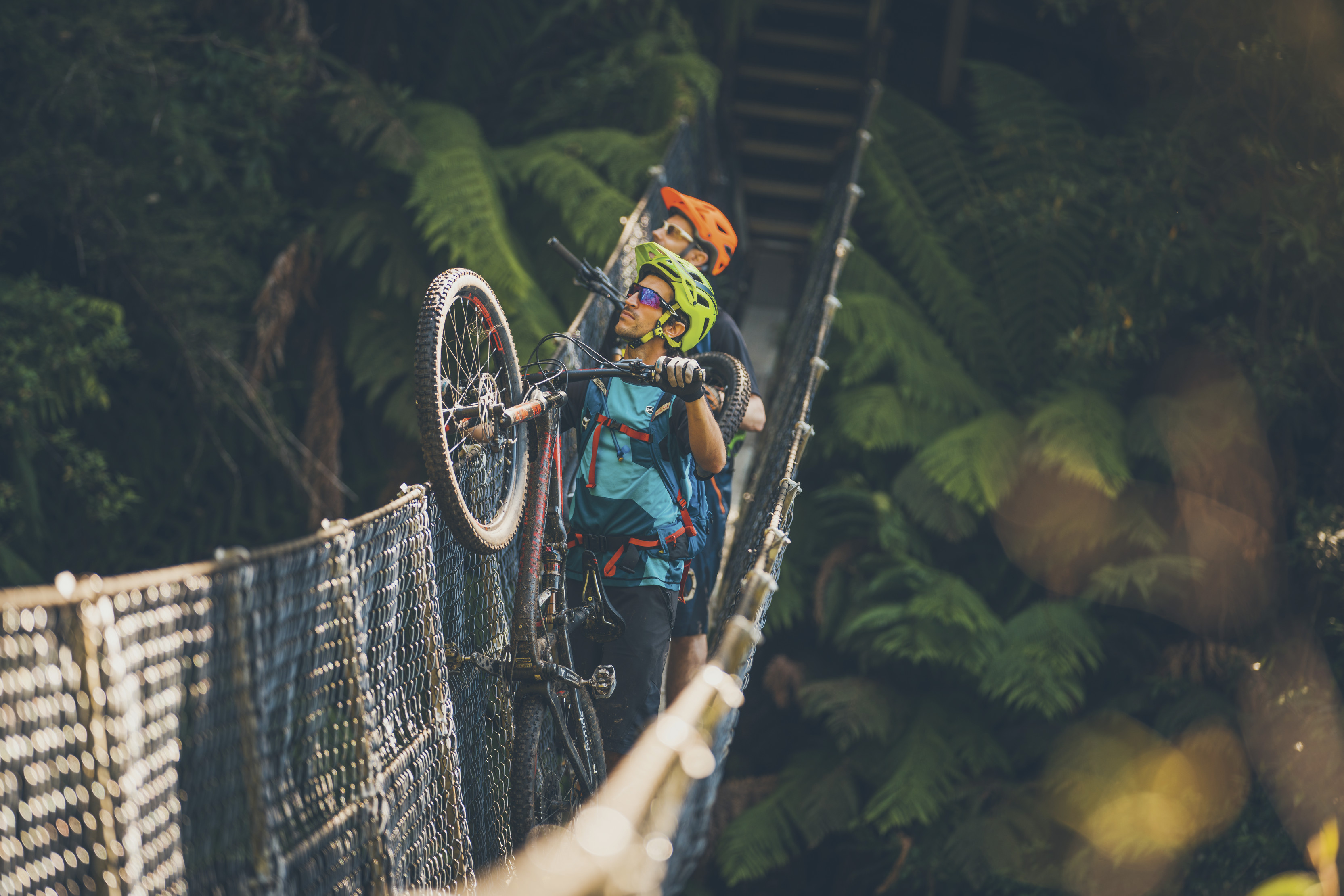 Cyclists looking up whilst carrying their bikes across a bridge surrounded by forests at Montezuma Falls.