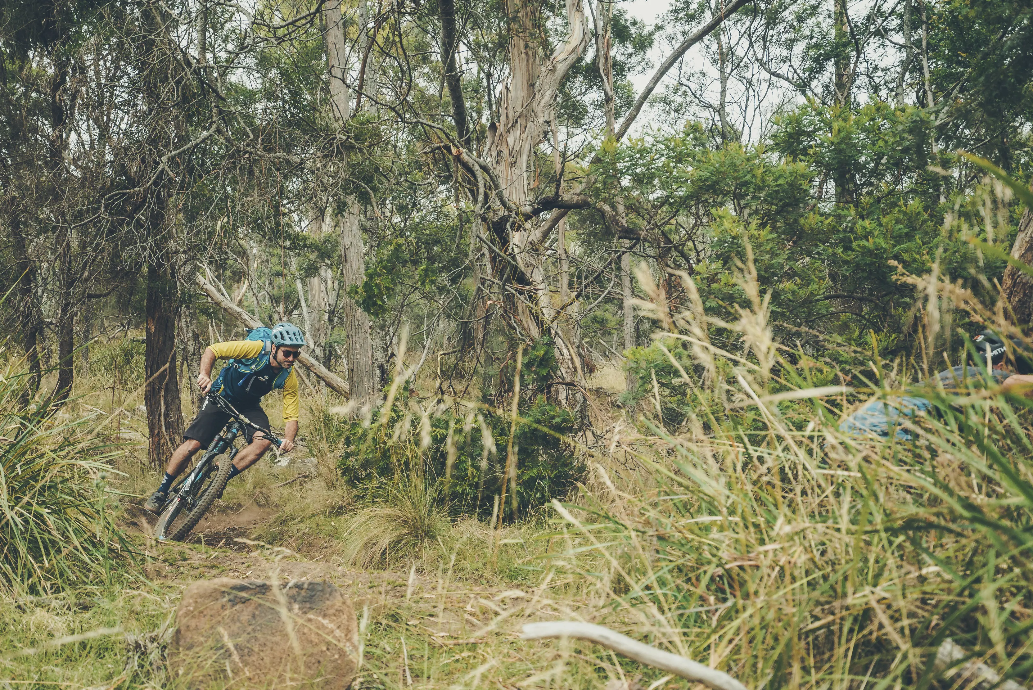 A mountain biker in Trevallyn Nature Recreation Area
