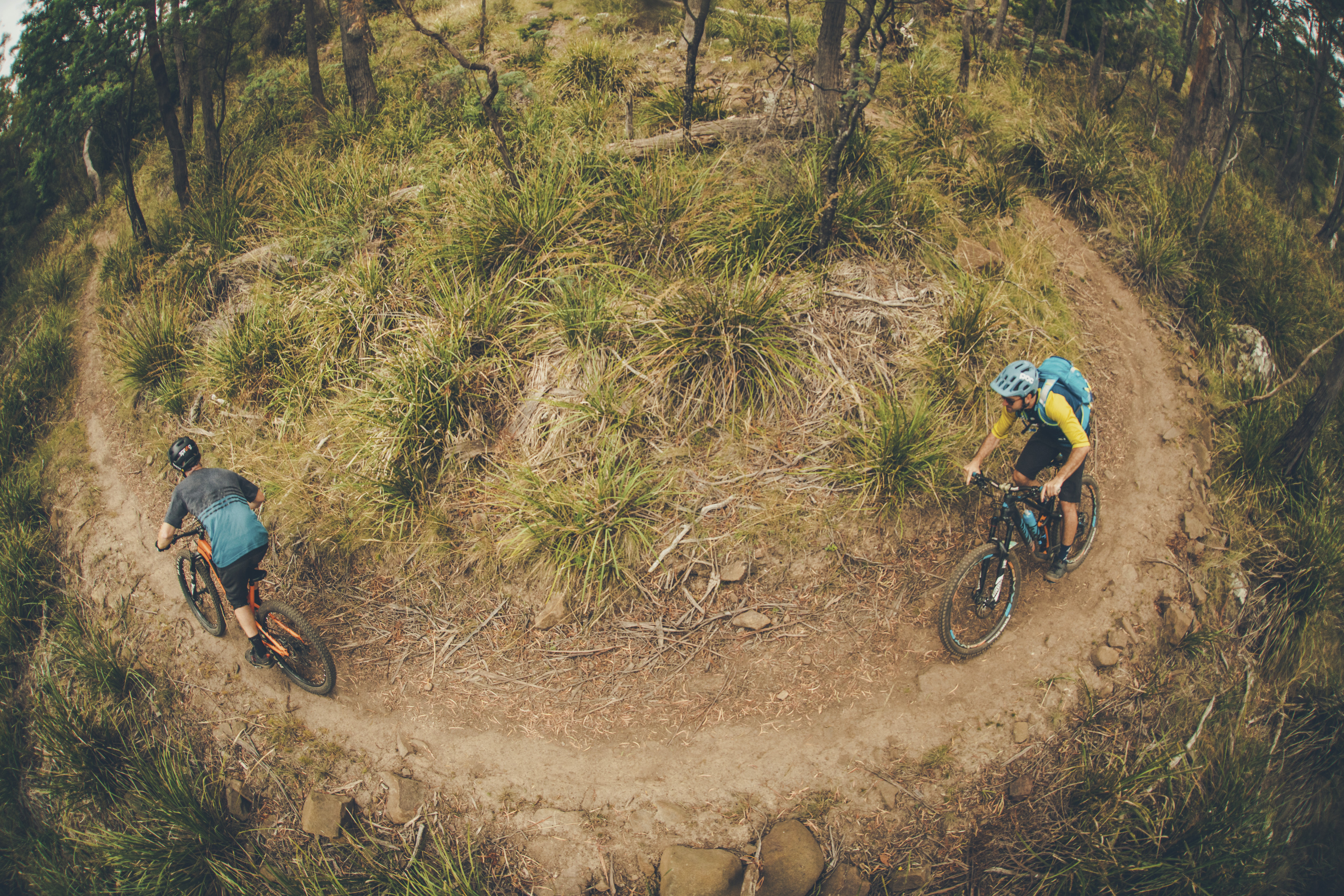 Aerial view of two mountain bikers going around a bend in Trevallyn Nature Recreation Area