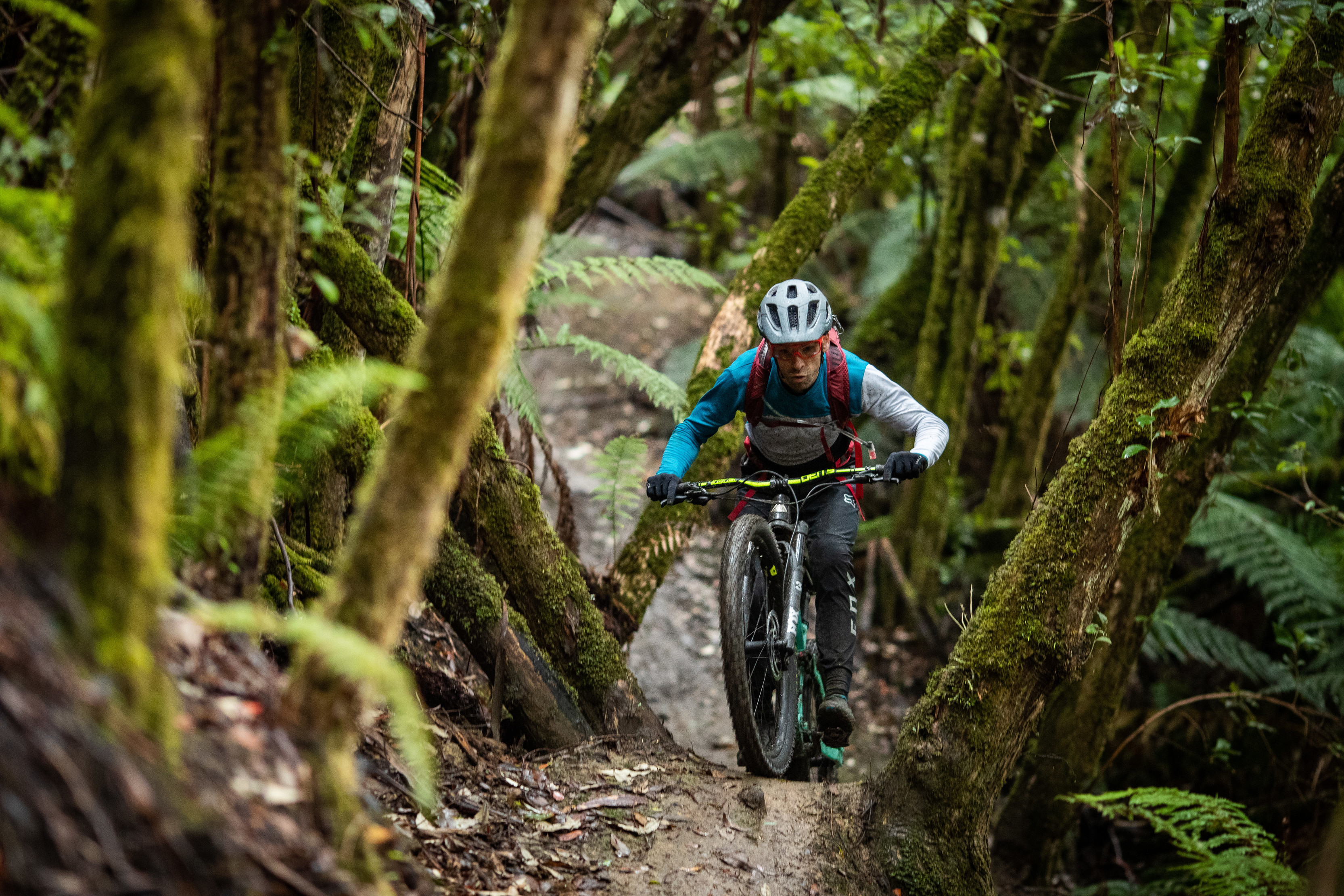 A cyclist rides through the rainforest at Maydena Bike Park