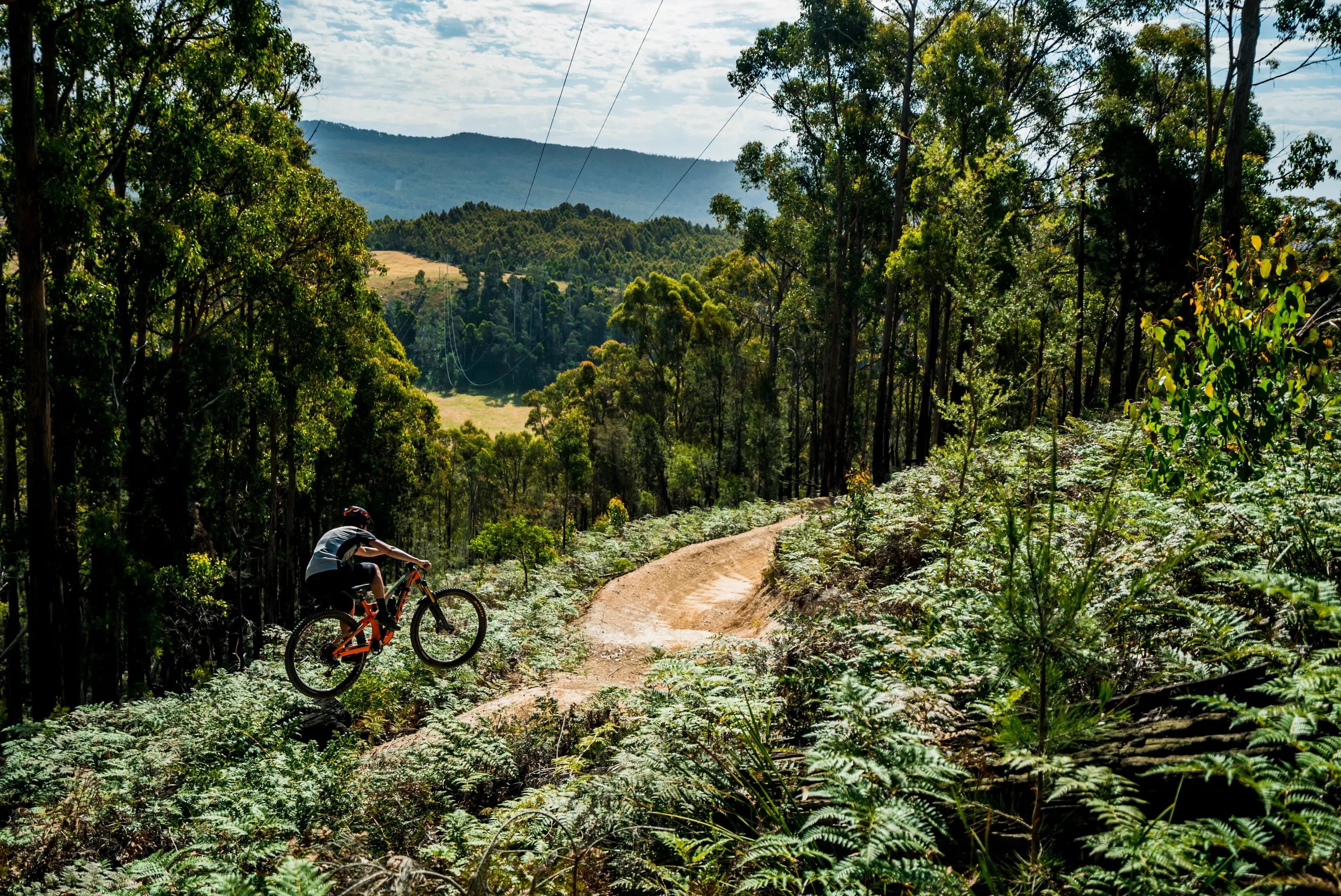 Landscape image of Wild Mersey Mountain Bike Trails, a cyclist is in the air in the foreground.